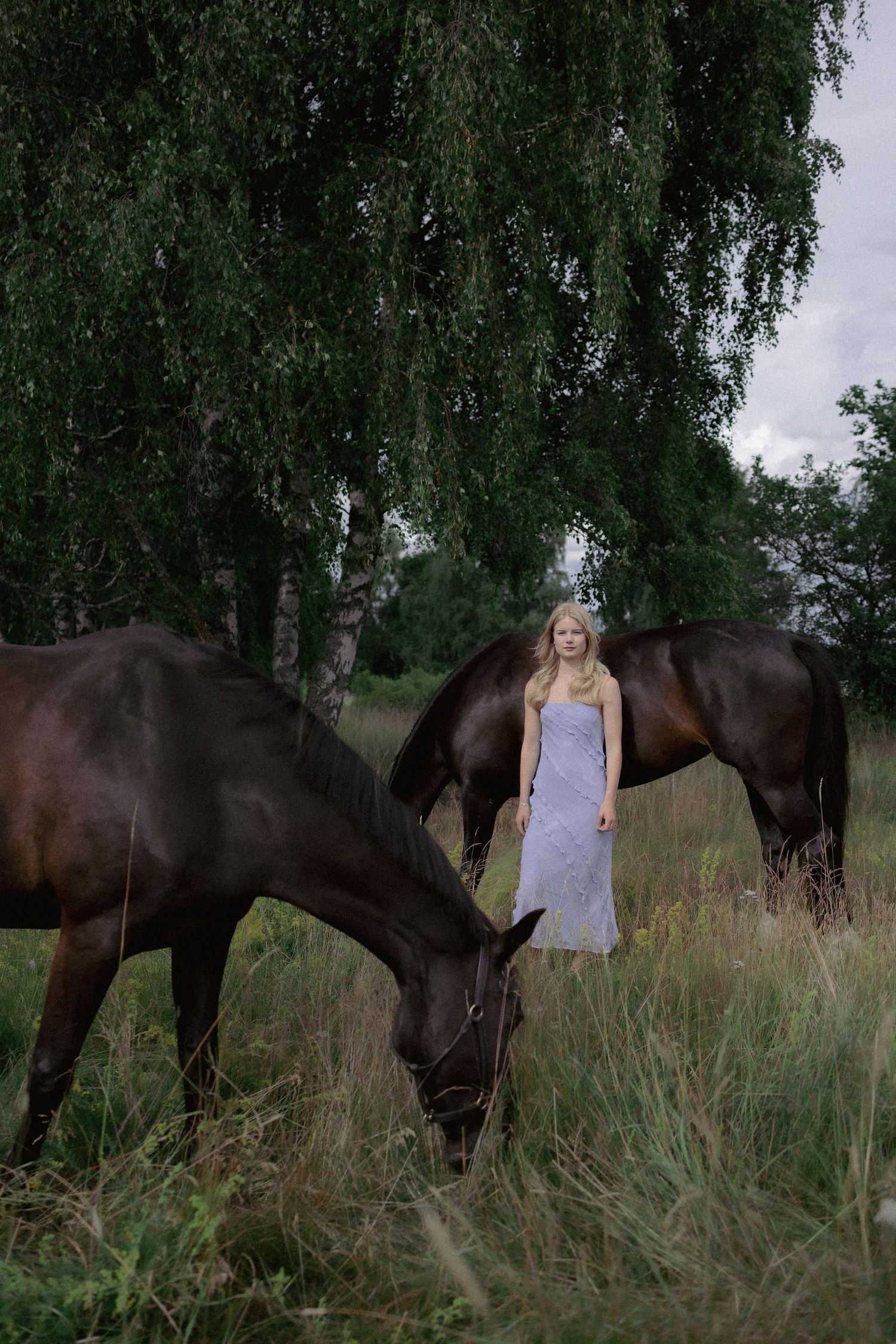 Blonde woman in a lavender dress standing among two dark horses grazing in a field.