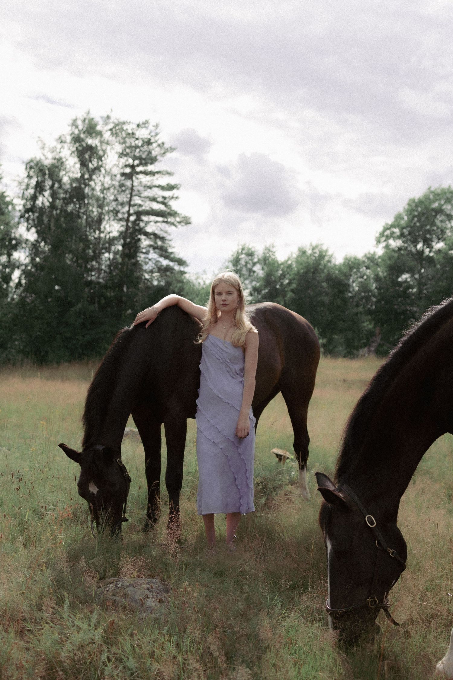 Blonde woman in a lavender dress surrounded by three dark grazing horses in a meadow.