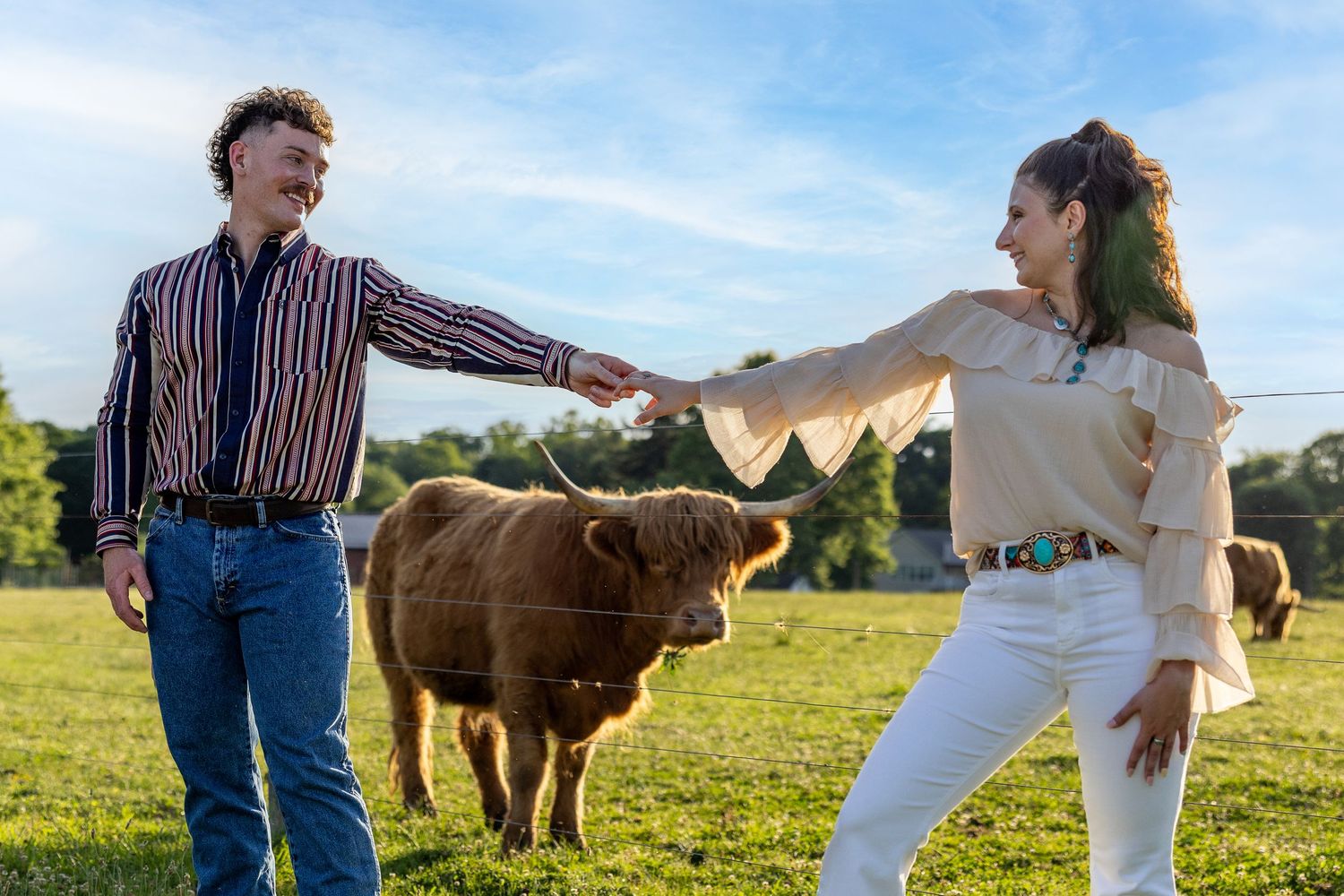 Couple dancing and holding hands in a sunny green field with Highland cattle in the background.