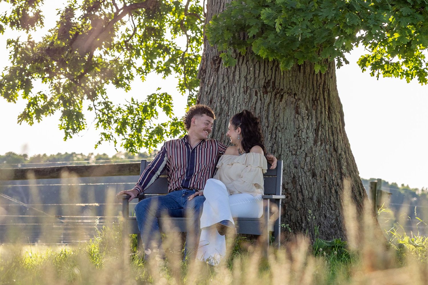 Couple sitting on a bench under a large tree, gazing at each other in a golden field.