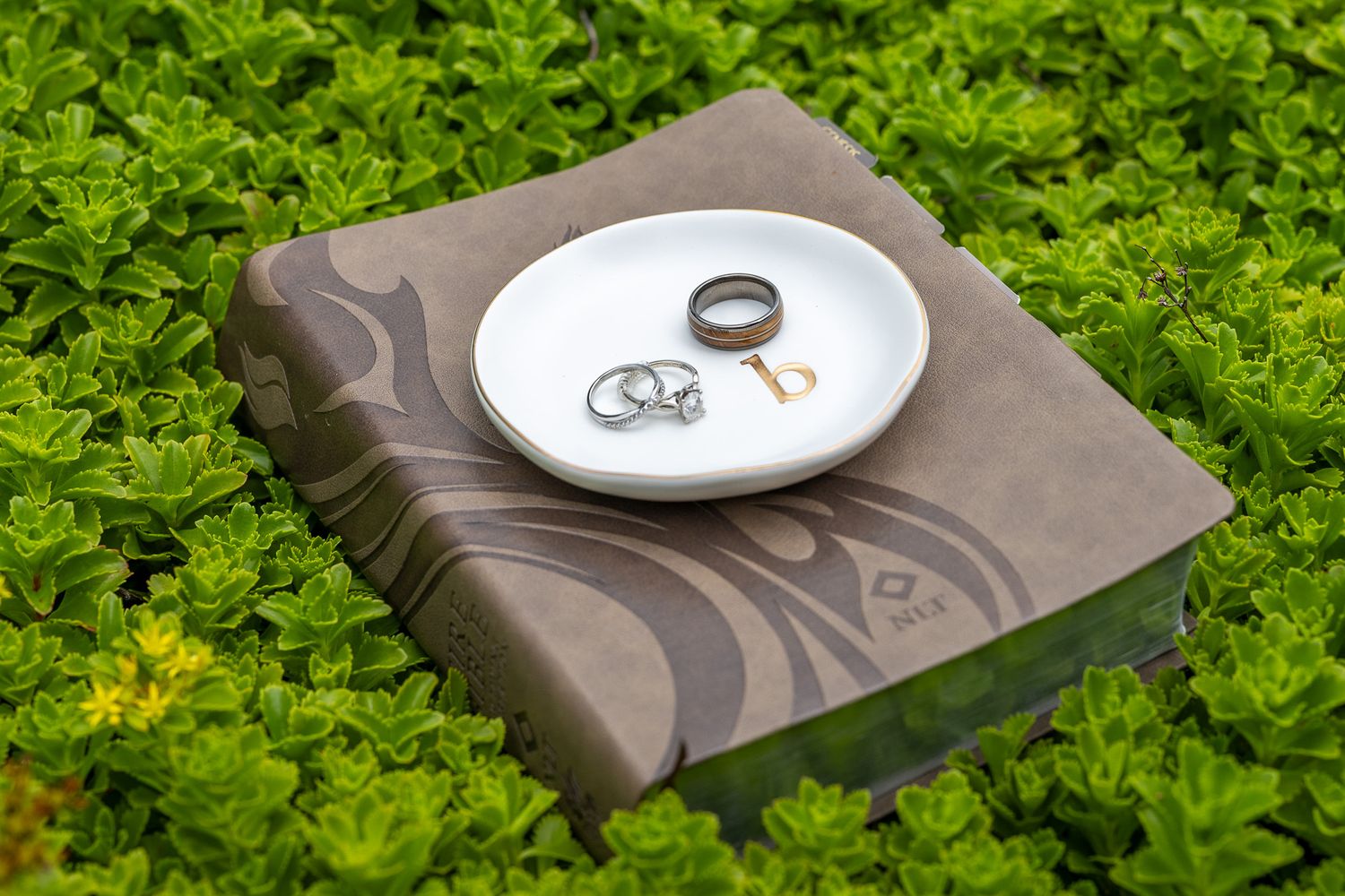 Wedding rings displayed on a white ceramic dish atop an elegant brown embossed book surrounded by greenery.