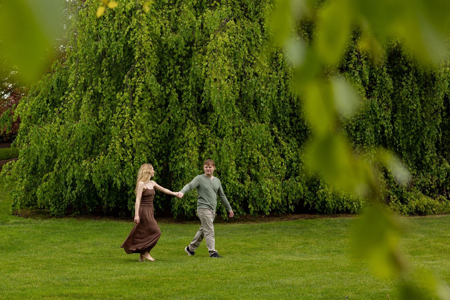 A couple holds hands while walking across a green lawn near a weeping willow tree.
