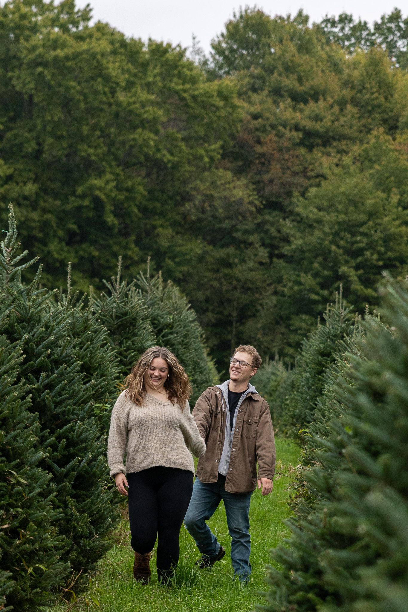 A couple walks hand in hand through rows of evergreen trees at a Christmas tree farm.
