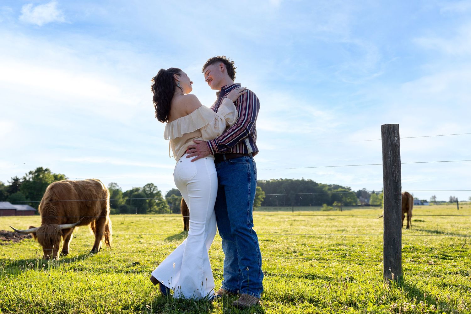 Couple embracing in sunny green field with horse grazing in background under blue sky.