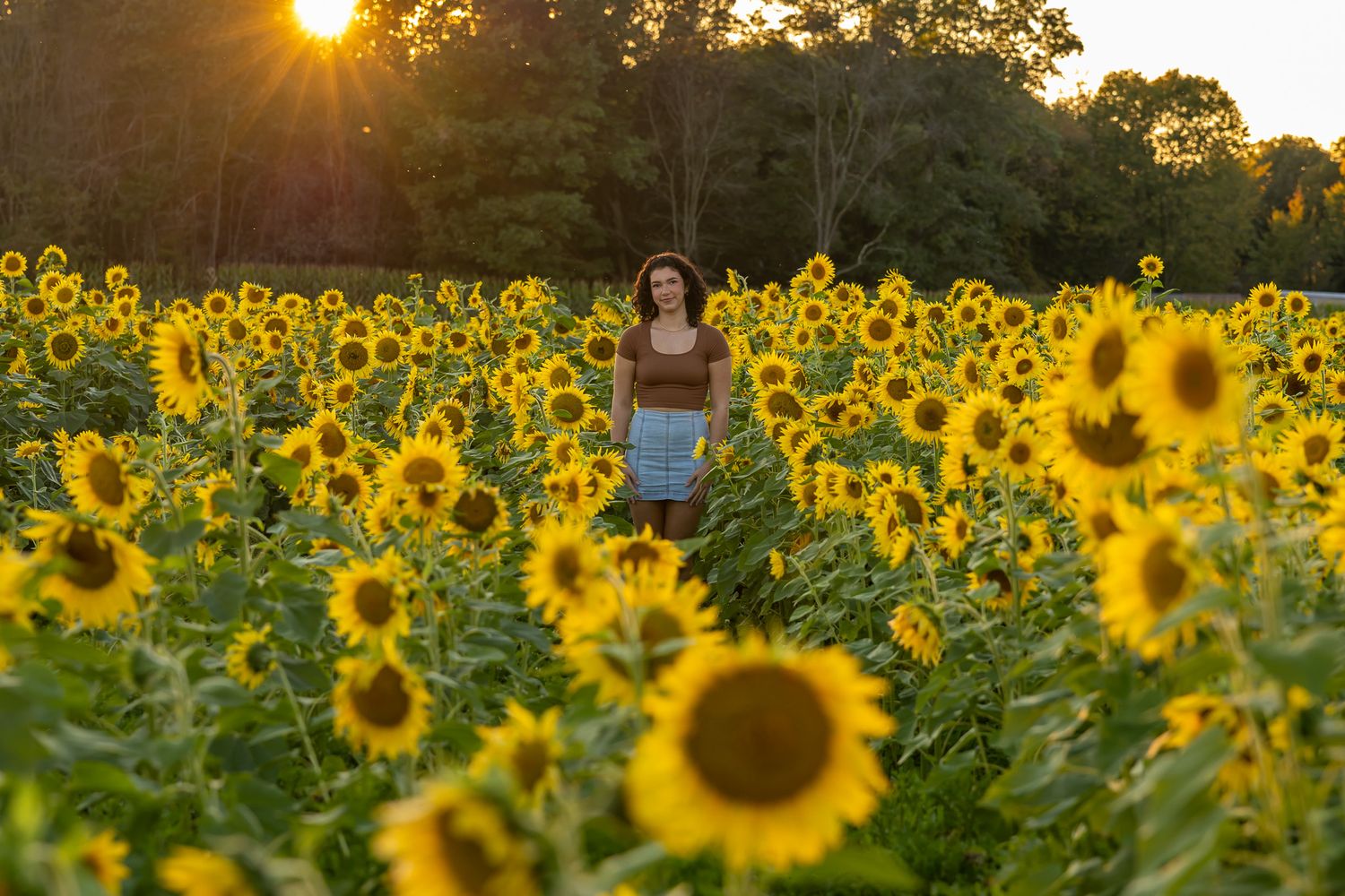 Young woman standing in a vibrant sunflower field at golden hour sunset with trees in background.