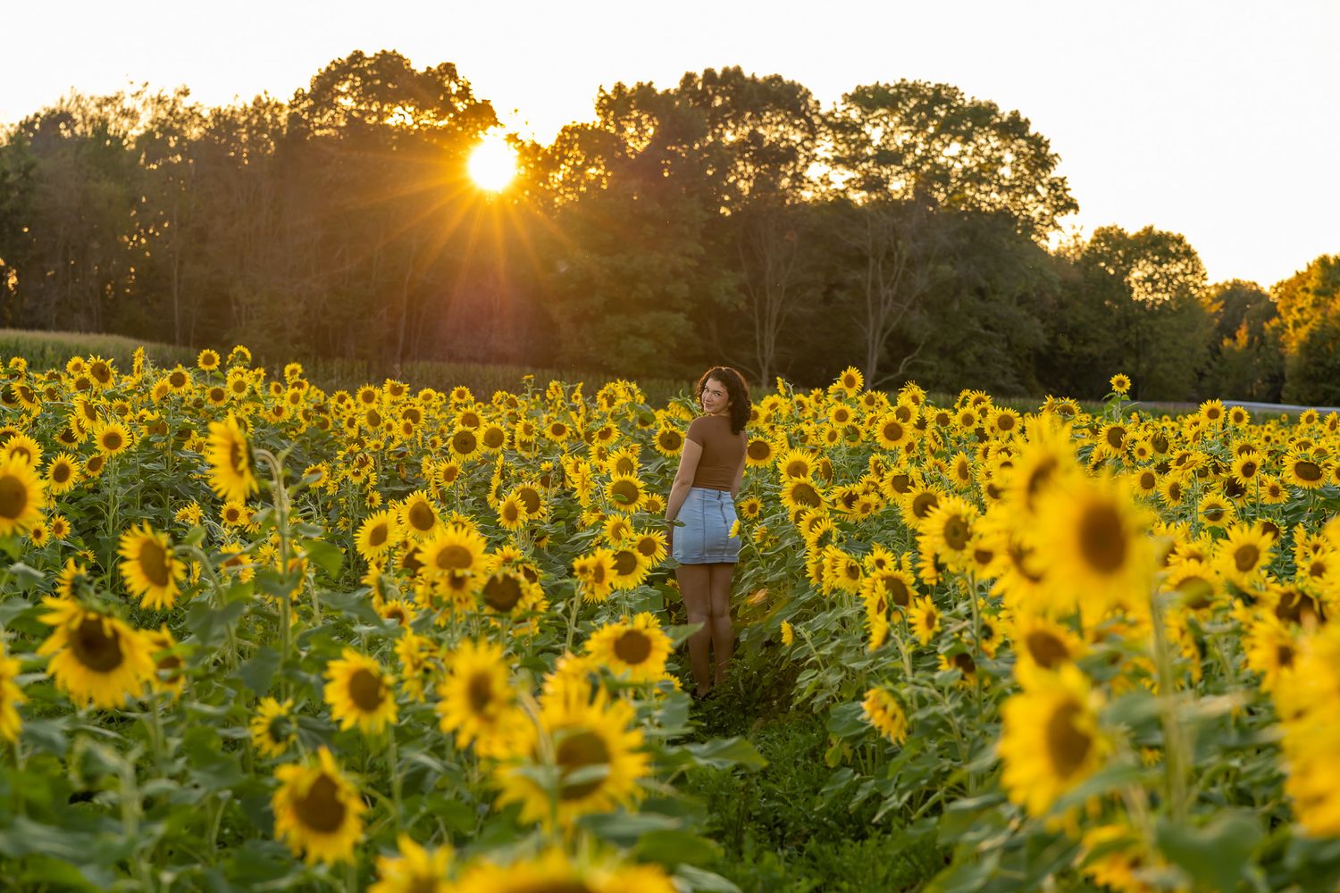 Woman standing in a sunflower field at golden hour sunset with trees in background.