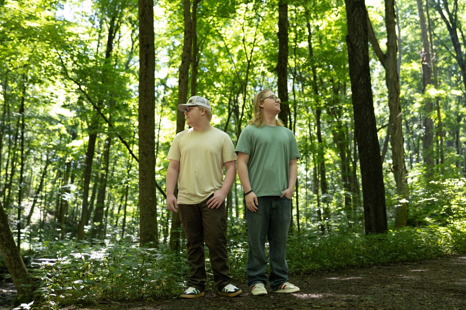 Two men standing in a lush green forest looking up at the trees on a sunny day.