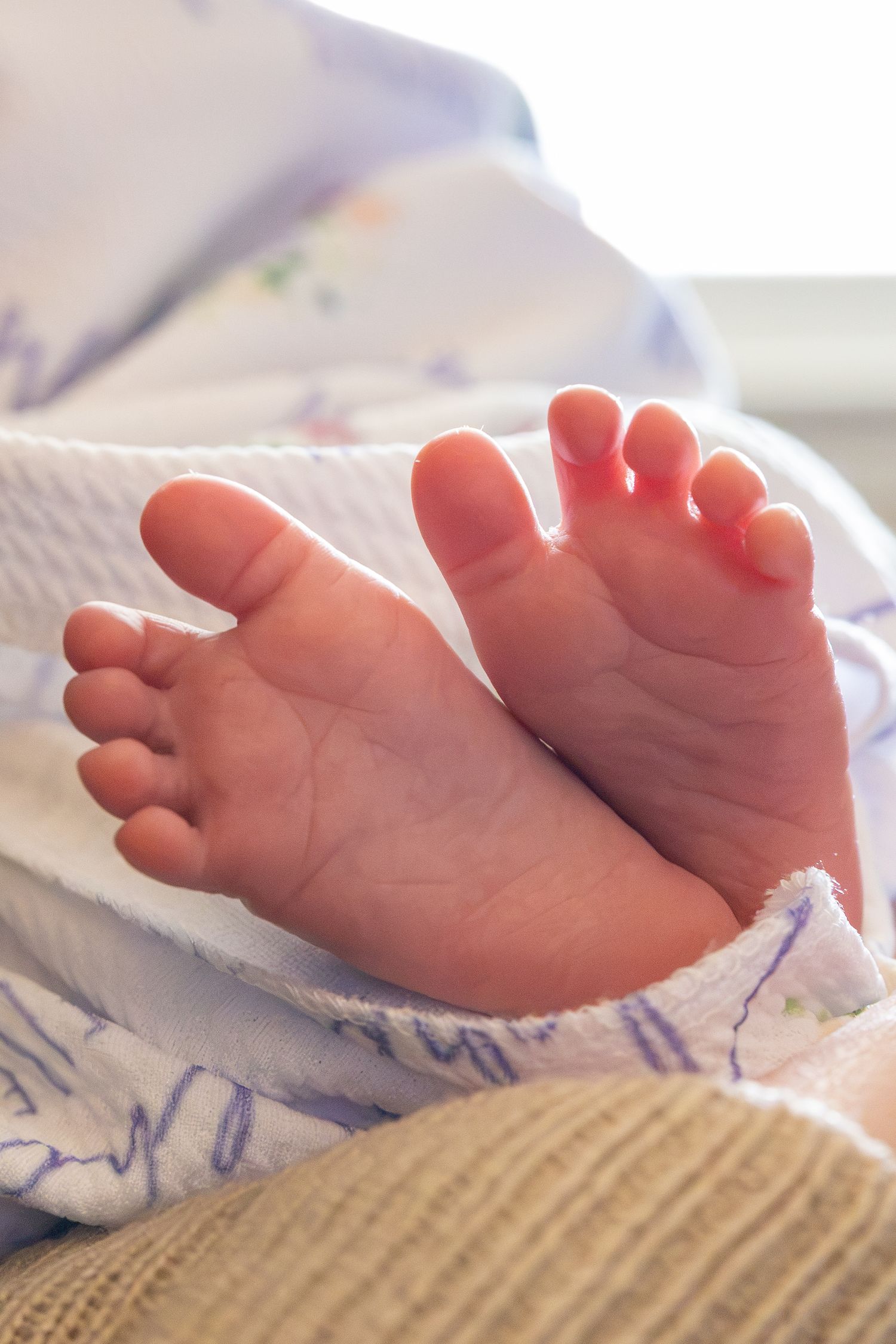 Close-up of tiny newborn baby feet wrapped in a soft white blanket with delicate floral print.