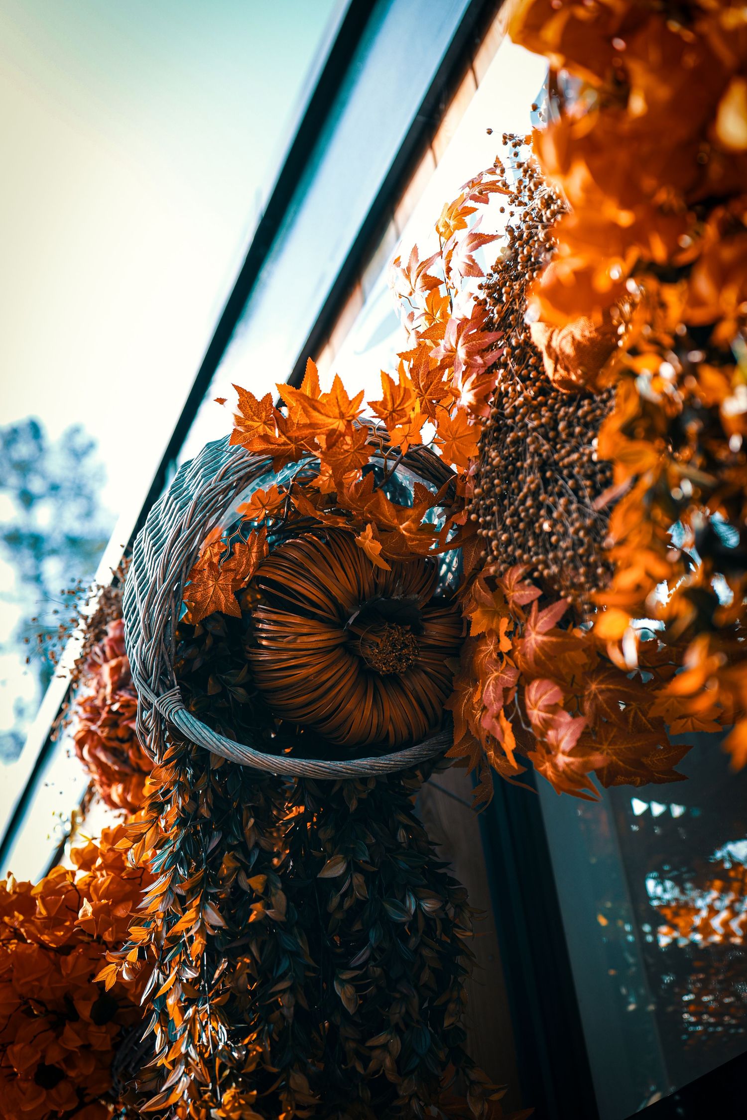Wicker basket filled with autumn flowers and orange leaves hanging near a sunlit window.