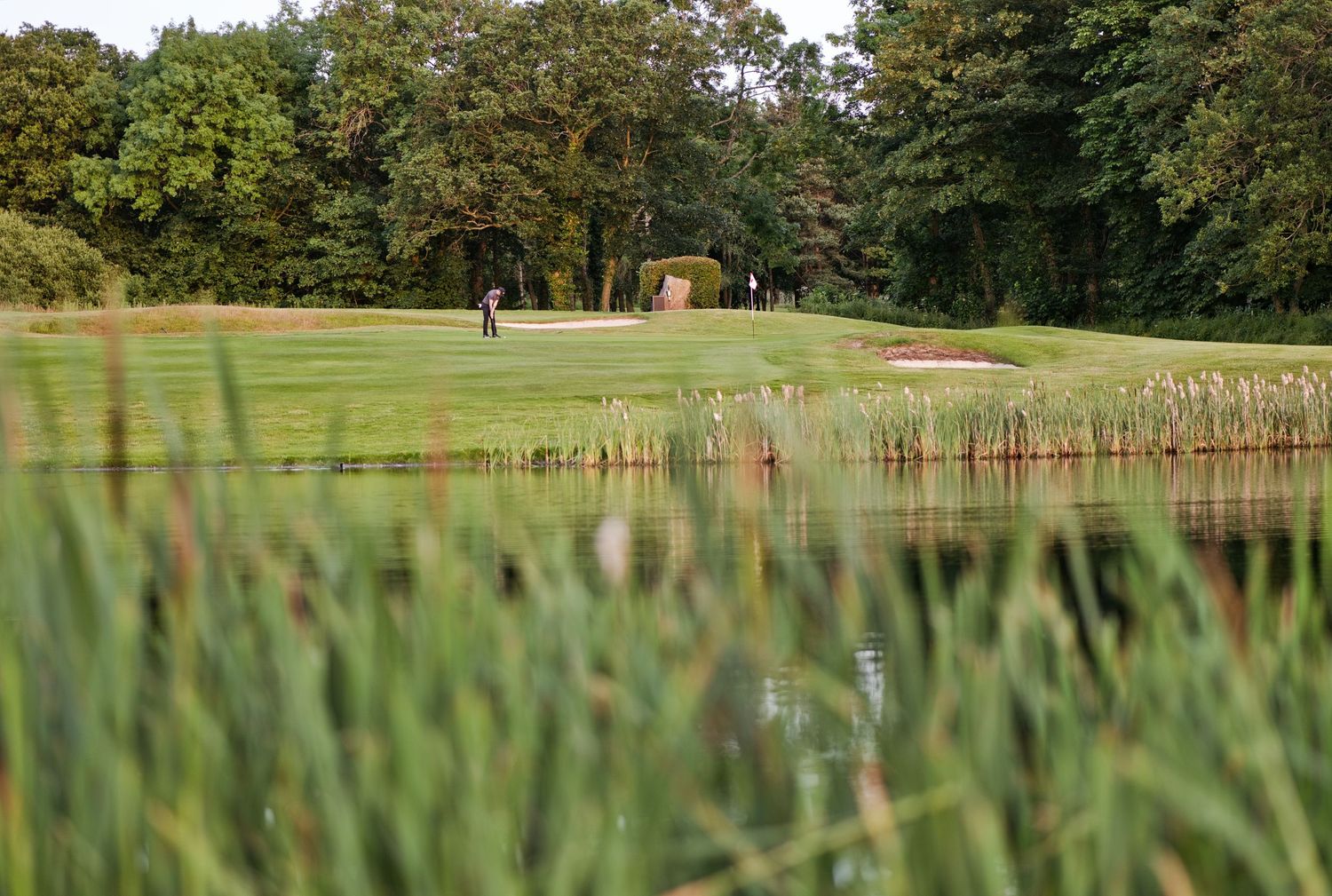 Scenic golf course hole featuring a water hazard with reeds and sand bunker beyond.