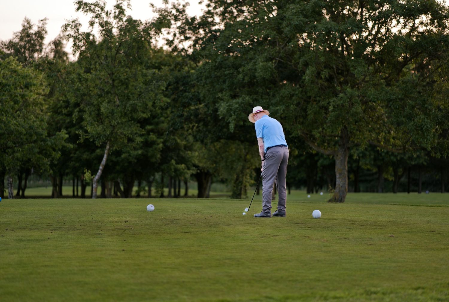 A golfer in a blue shirt takes a swing on a lush green golf course surrounded by trees at dusk.
