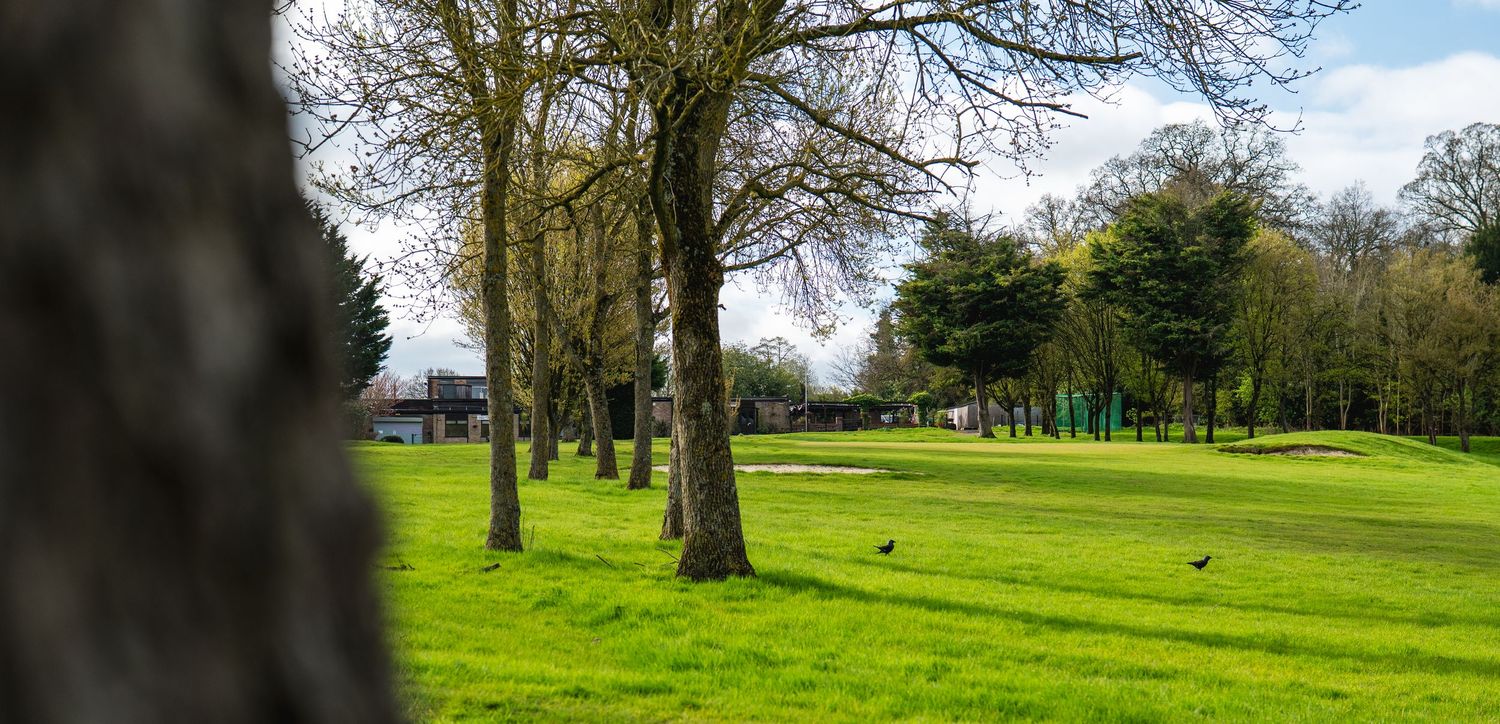 Lush green park with tall bare trees, manicured grass, and birds on the lawn under a partly cloudy sky.