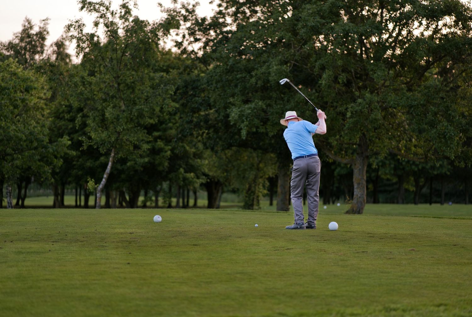 Golfer tees off at sunset on a lush green golf course surrounded by tall trees.