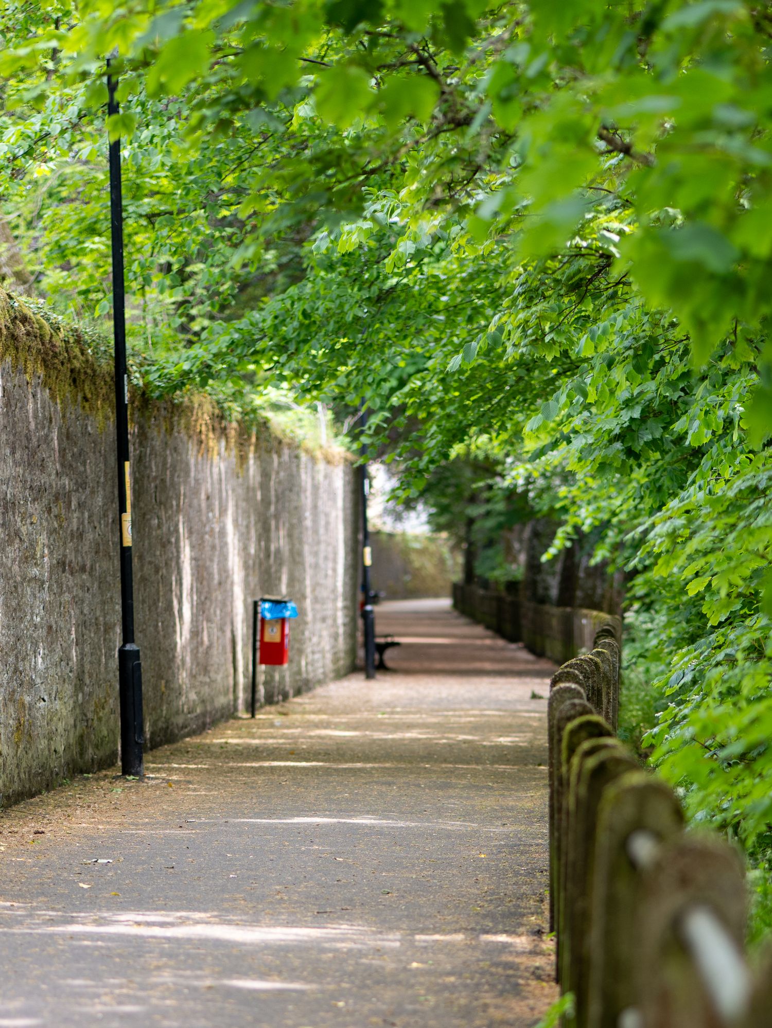 Tree-lined stone wall pathway with lamp posts on a quiet green walkway.