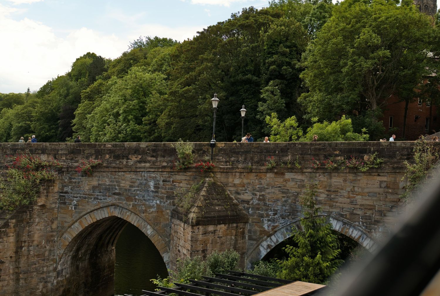 Historic stone arch bridge surrounded by lush green trees in a scenic countryside setting.