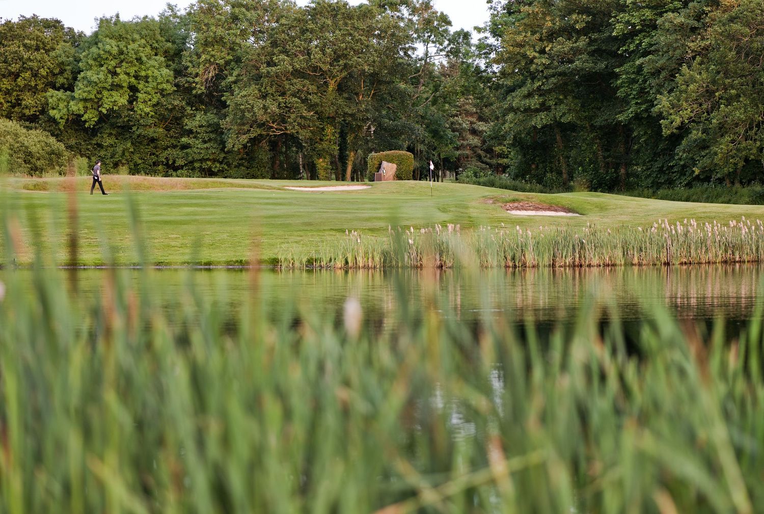 Scenic golf course with water hazard, reeds, and lush green trees in background.