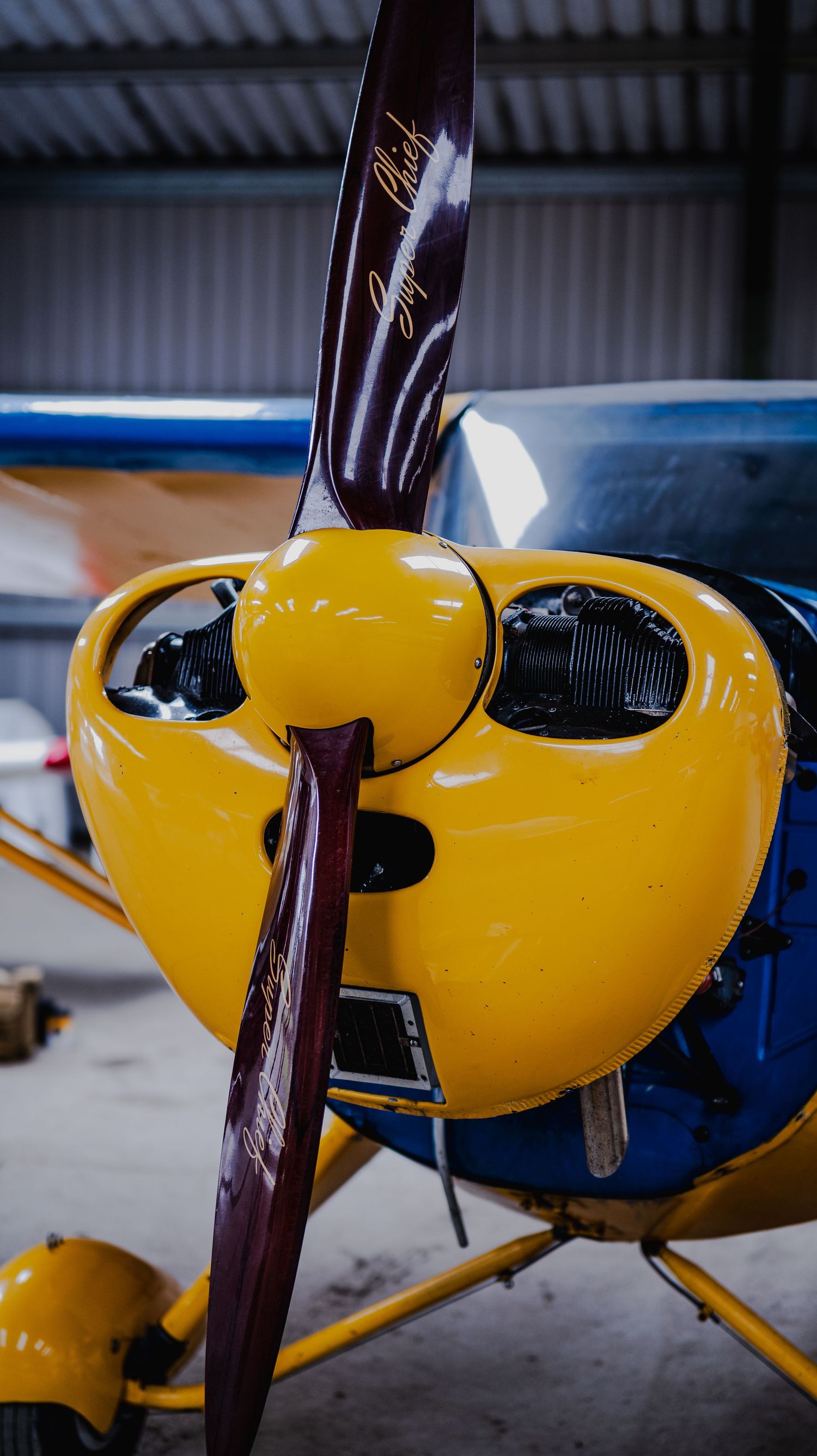 Close-up of a yellow and blue small aircraft with a dark wooden propeller inside a hangar.