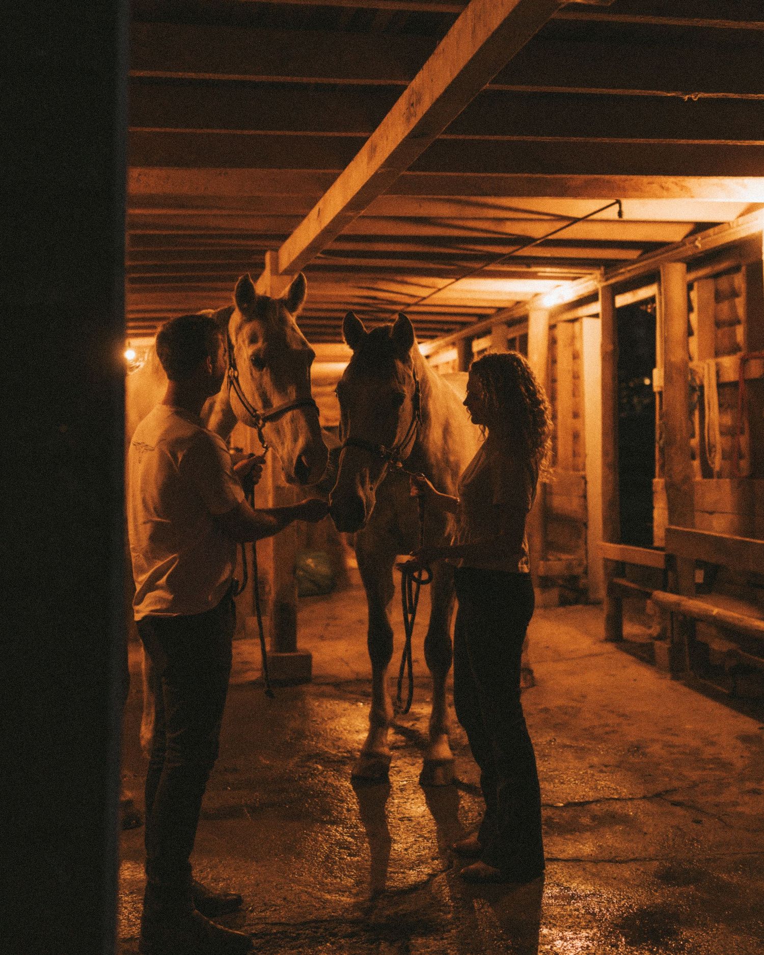 Couple bonding with a white horse inside a warmly lit rustic stable at night.