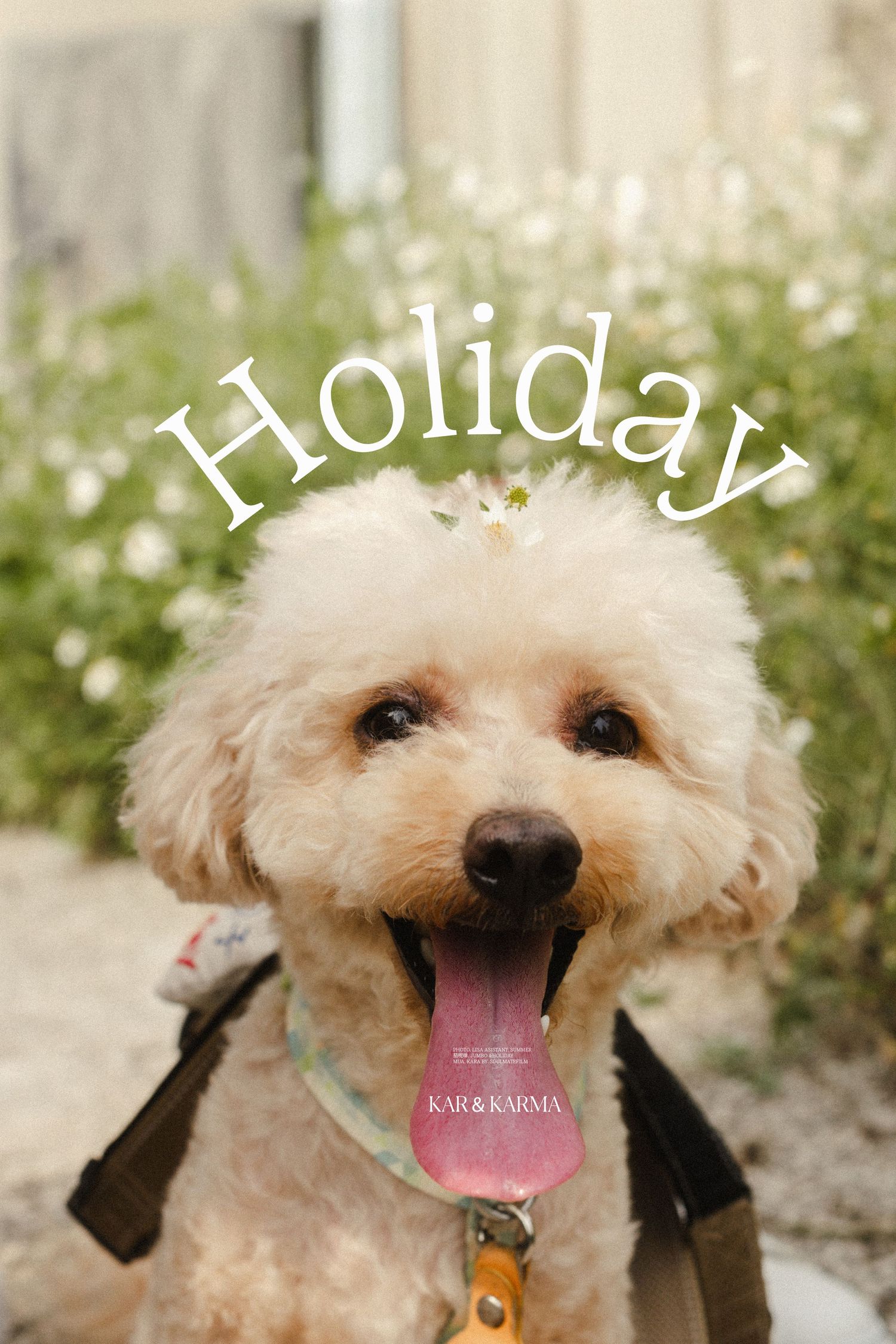 A fluffy golden dog with tongue out and a daisy on its head with Holiday text overlay outdoors.