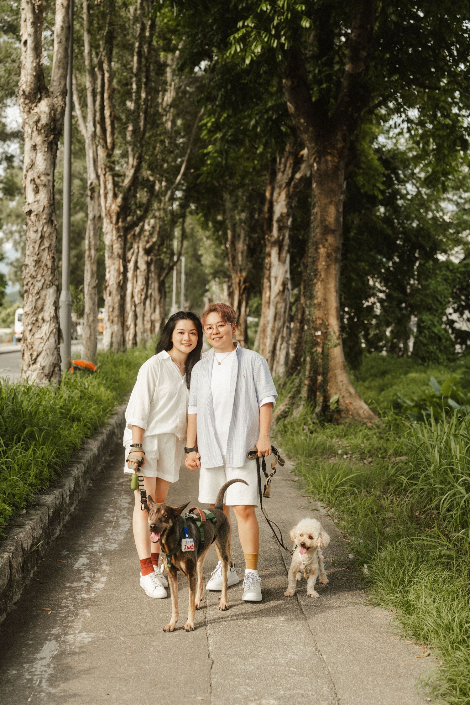Two women in white outfits walking two dogs on a tree-lined sidewalk path on a sunny day.