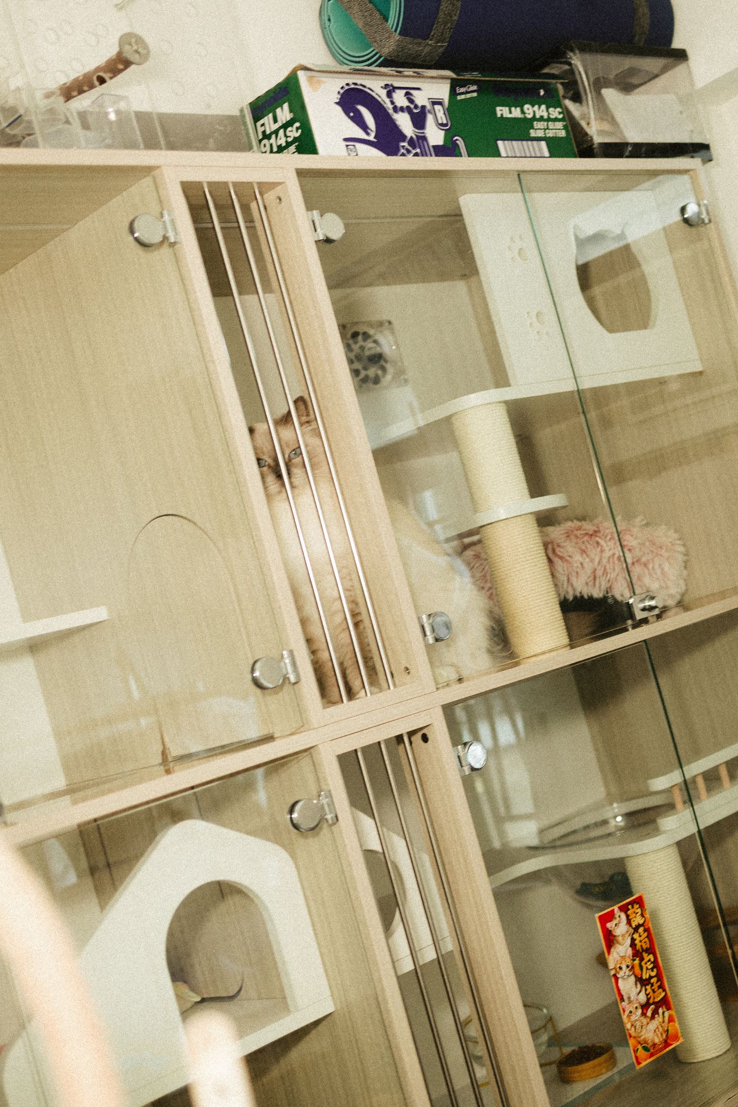 A modern cat hotel with multiple glass-door compartments featuring scratching posts and cozy hideaway spaces for cats.