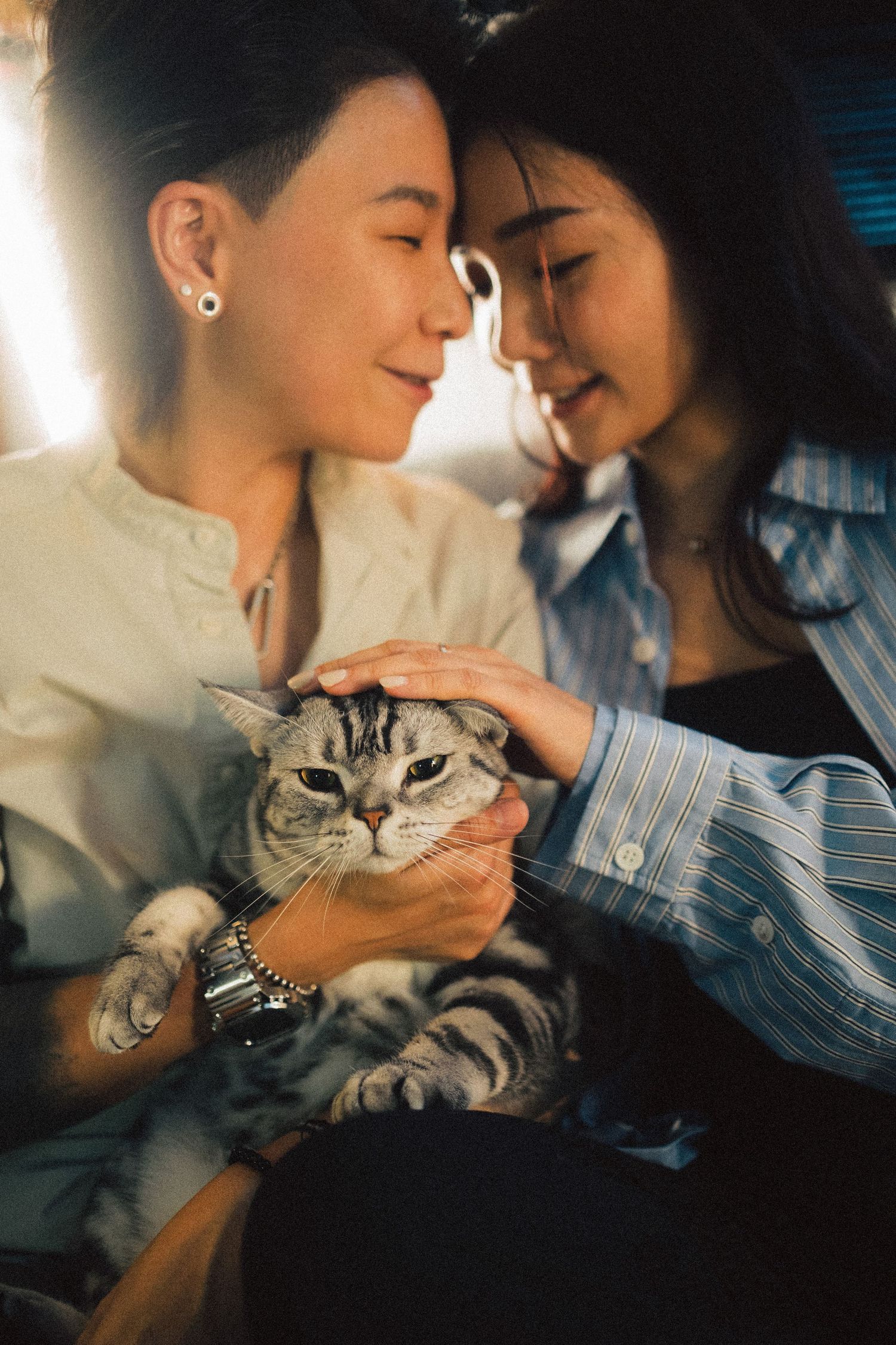 Two young Asian women smiling close together while gently petting a striped tabby cat indoors.