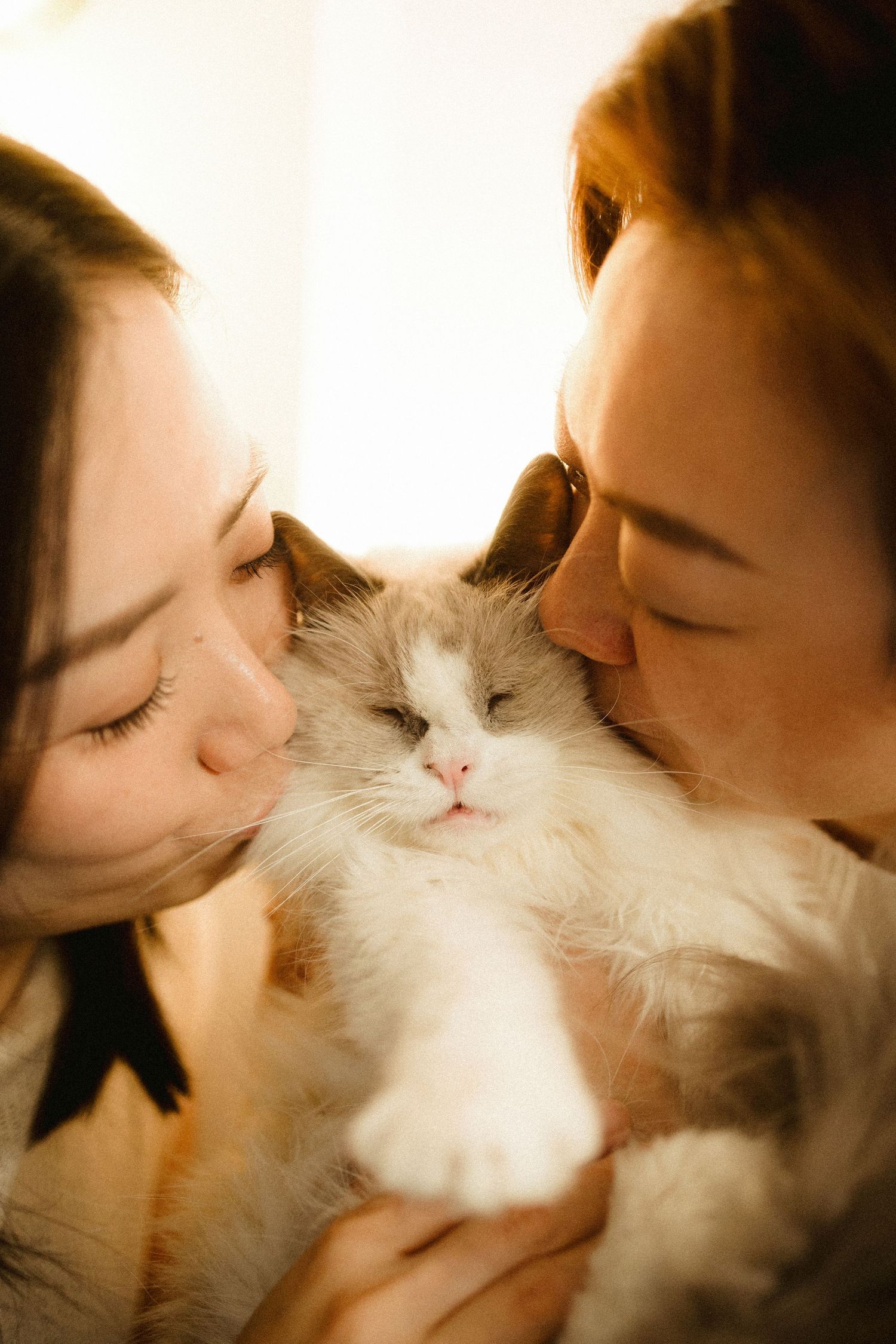 Two Asian women tenderly kissing a fluffy white and brown Ragdoll cat on both cheeks.