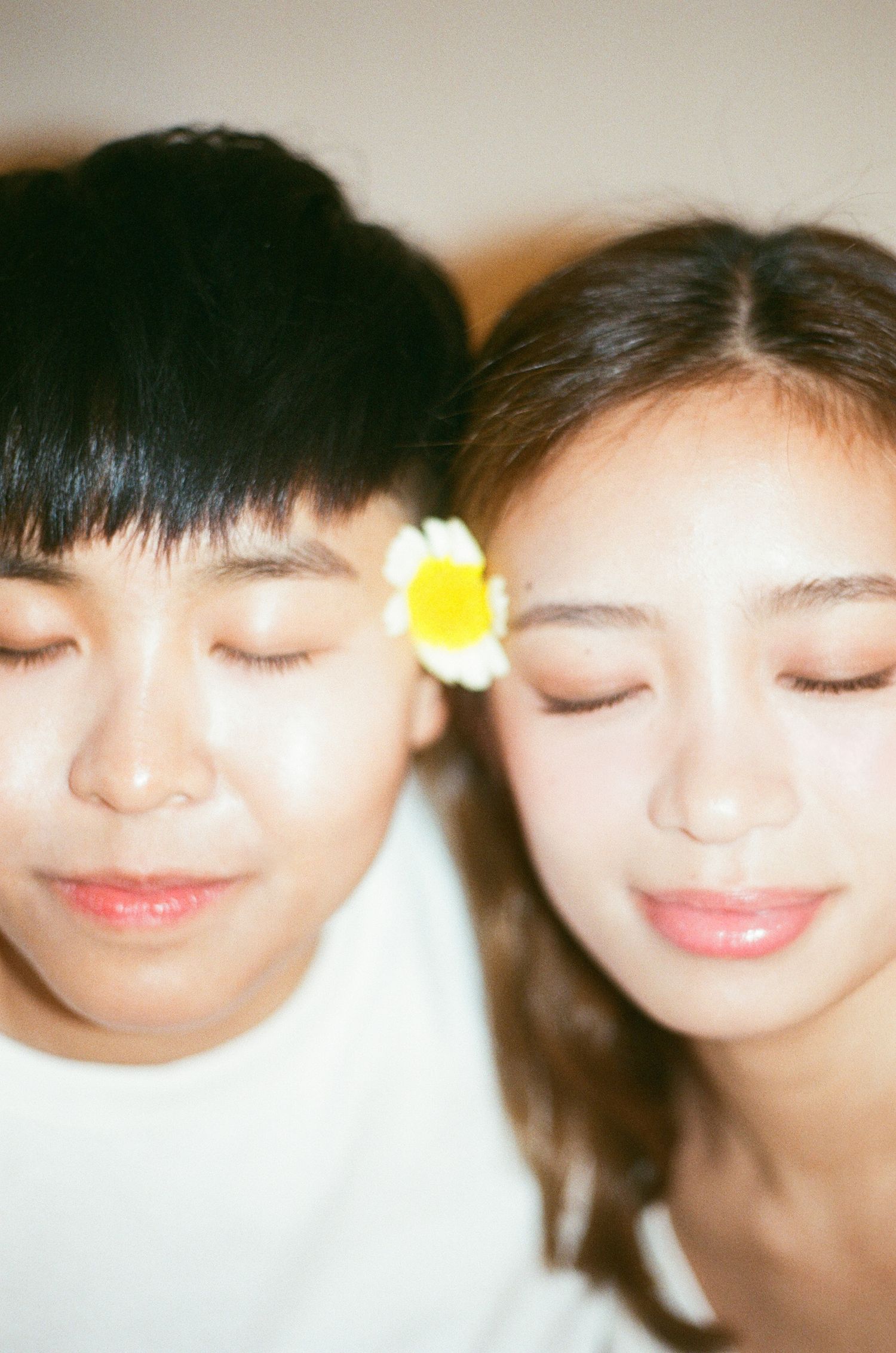 Close-up of a couple with eyes closed, cheeks touching, with a daisy flower in the woman's hair.