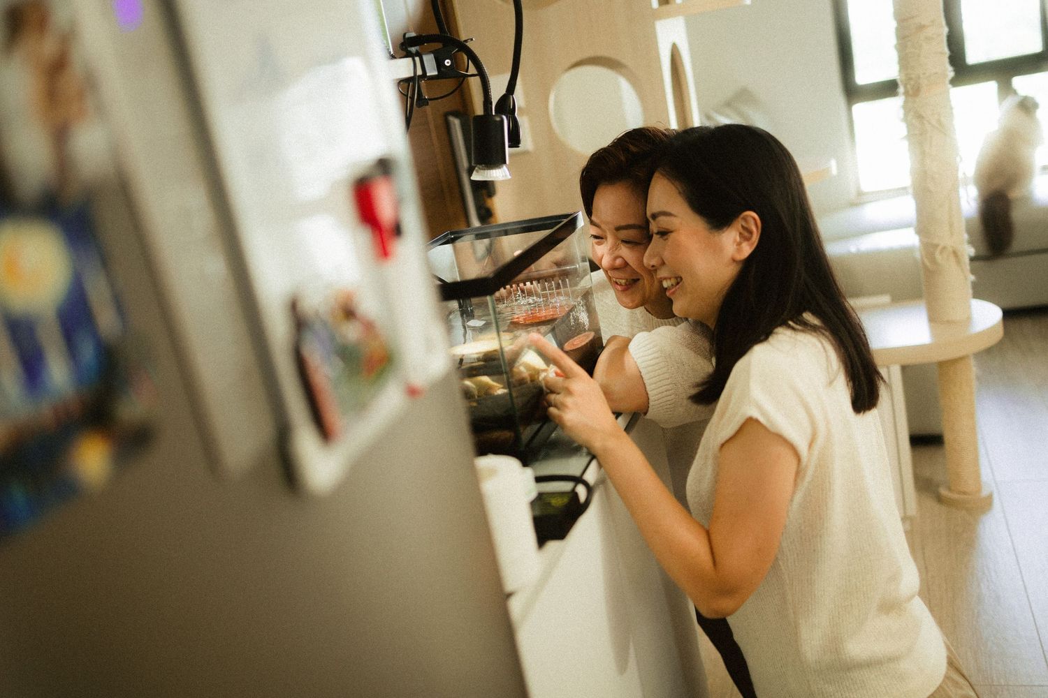 Two Asian women looking at a fish tank together in a modern home.