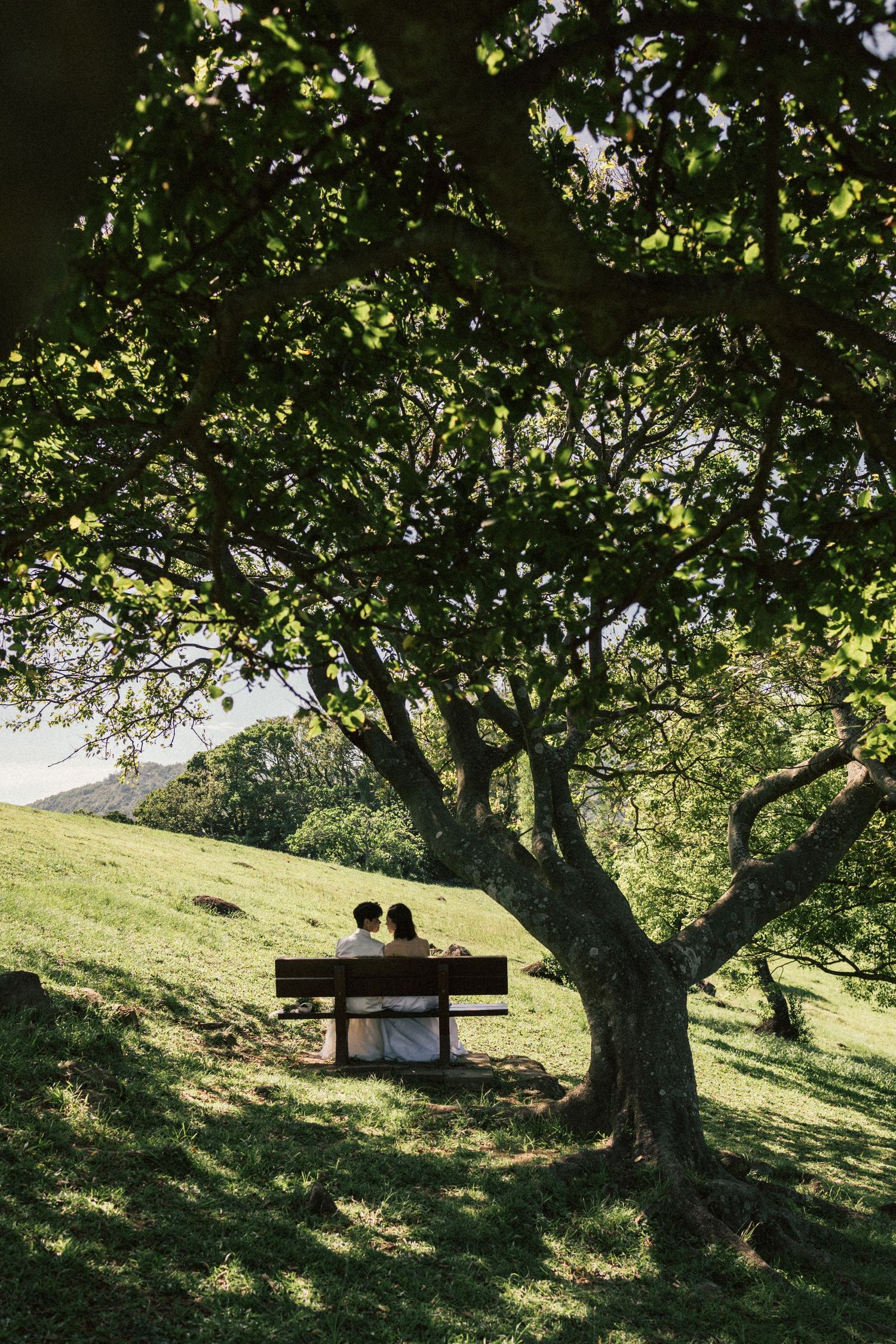 A bride and groom sit together on a wooden bench beneath a lush green tree on a sunlit hillside.