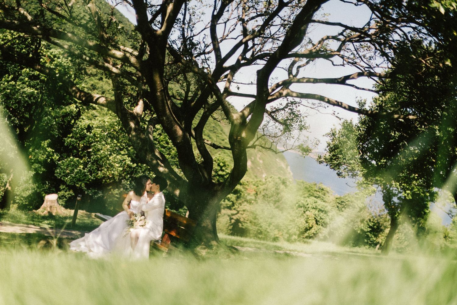 Two brides in white gowns walk hand-in-hand through a sunlit garden with a large tree and mountain view.