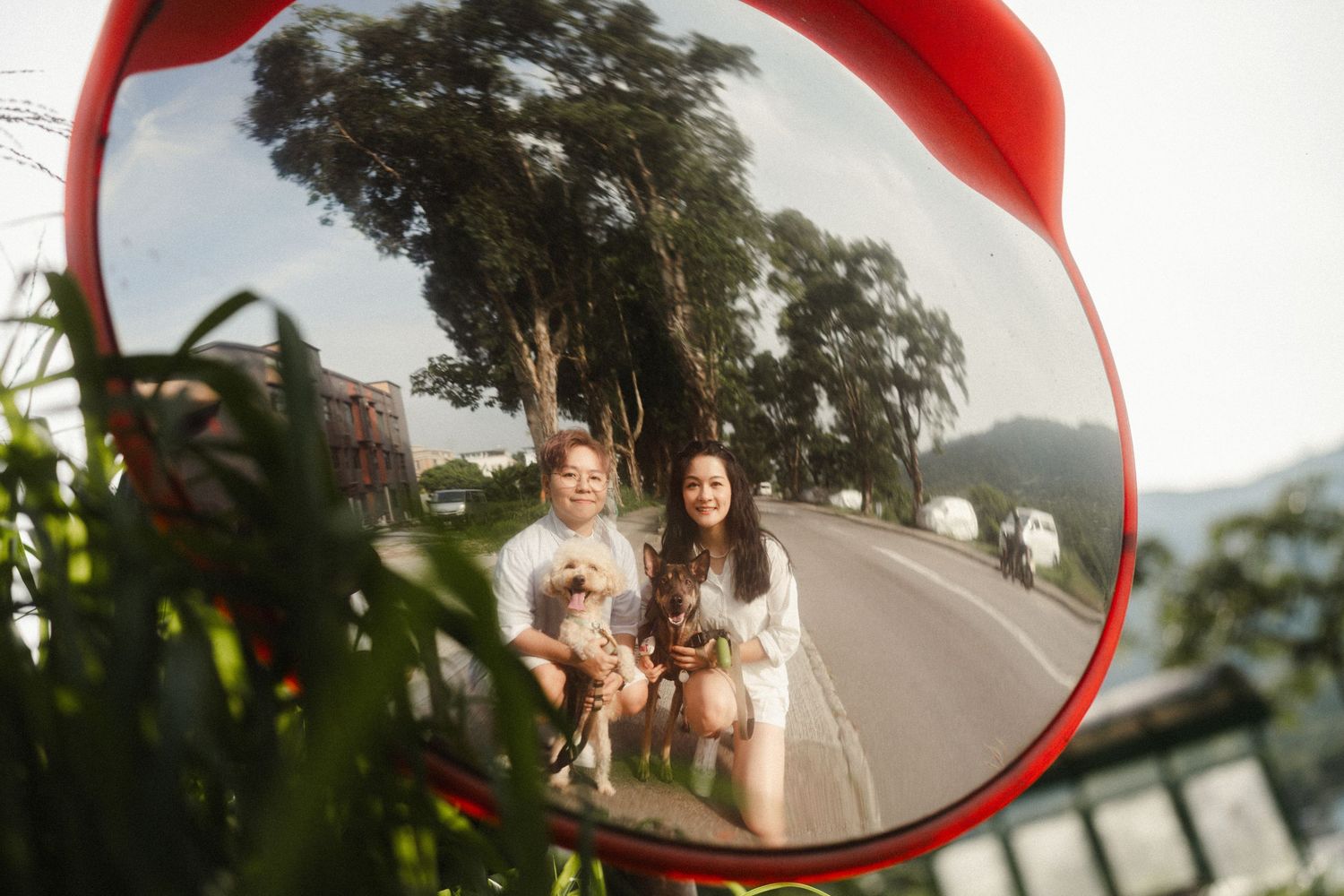 Reflection of two women holding small dogs captured in a convex road safety mirror outdoors.