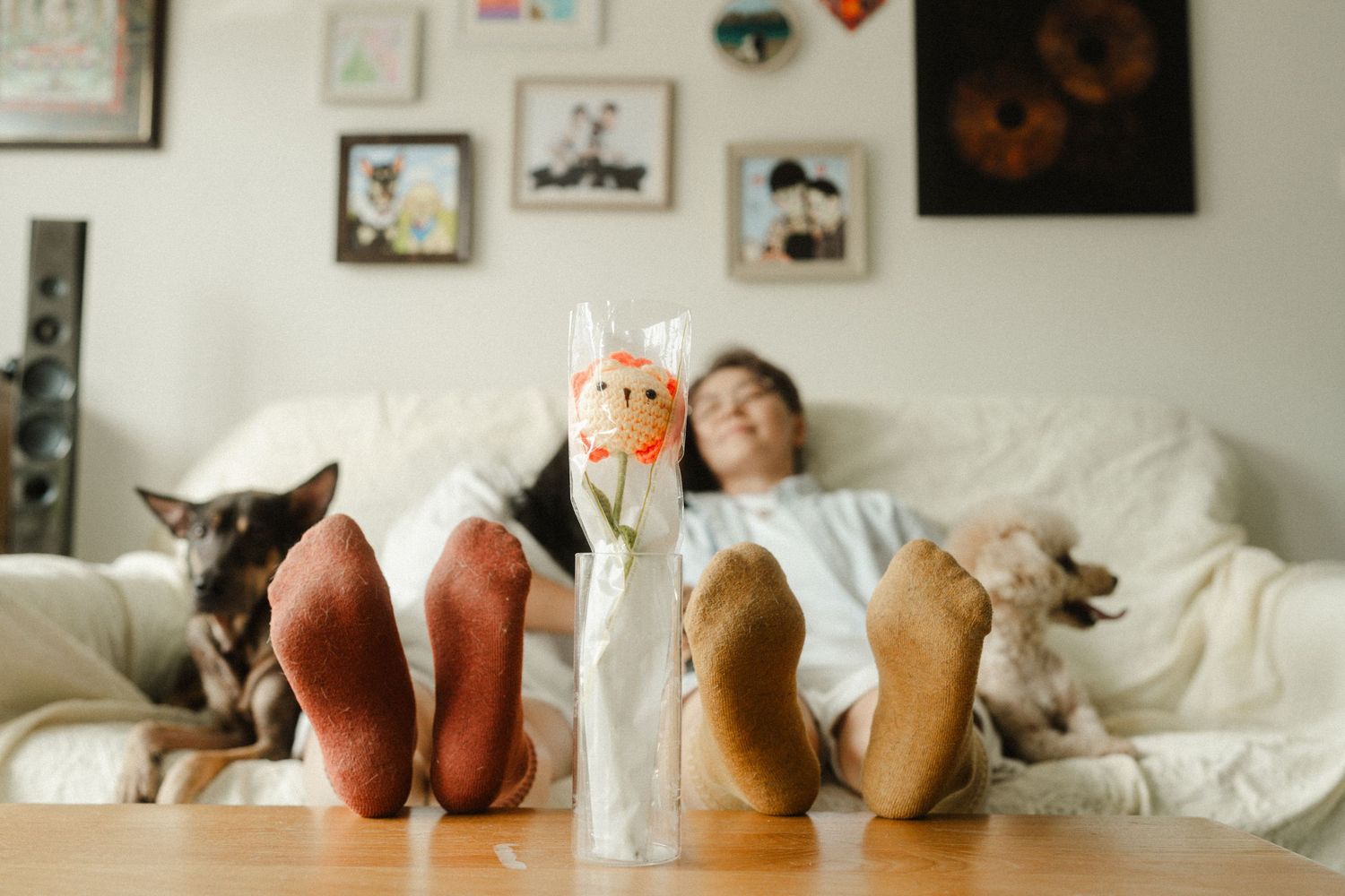 Couple relaxing on sofa with two dogs, colorful socks propped on coffee table, framed art on wall.