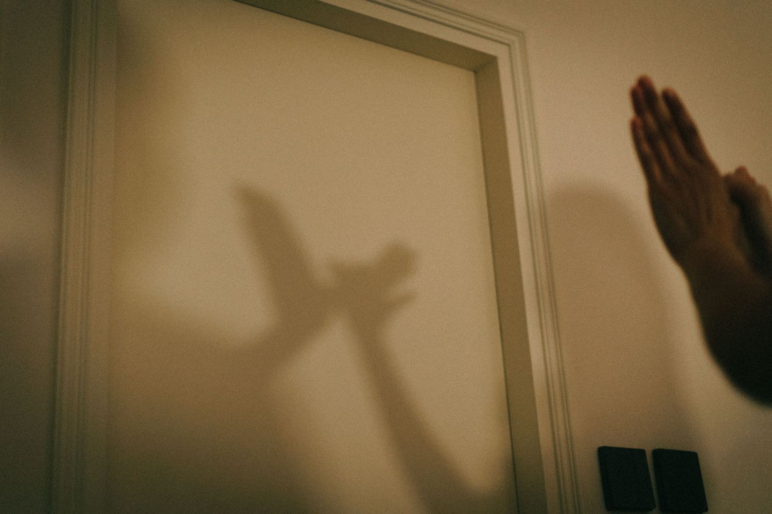 Shadow of a bird and human hand projected on a white wall.