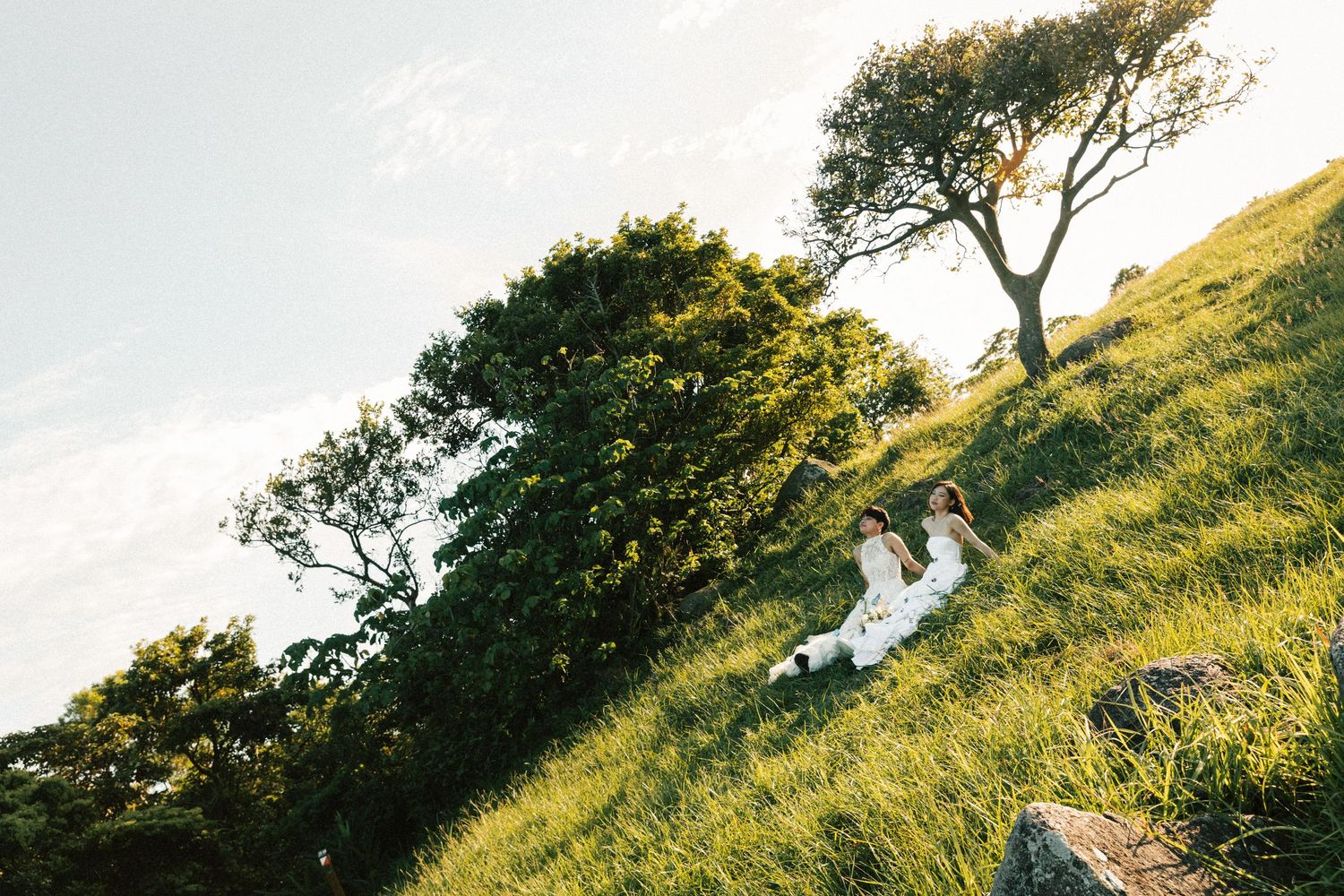 Two brides in white wedding gowns walk hand in hand on a sunlit grassy hillside with trees.