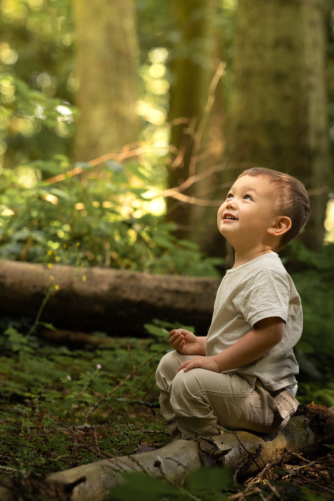 Happy toddler boy sitting on a log looking up in a sunlit green forest.