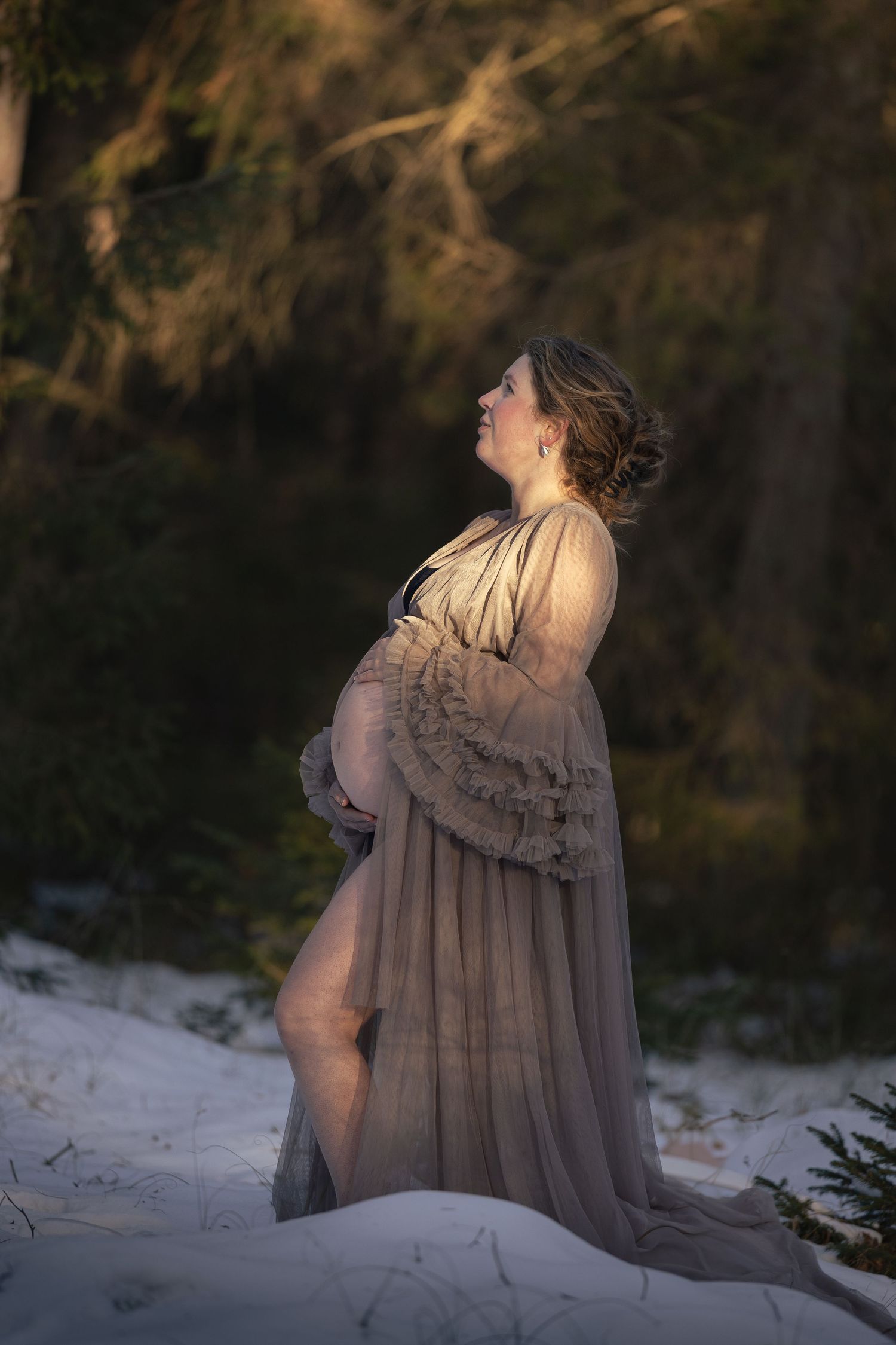 Pregnant woman in flowing sheer brown maternity dress posing on snowy ground with forest backdrop.