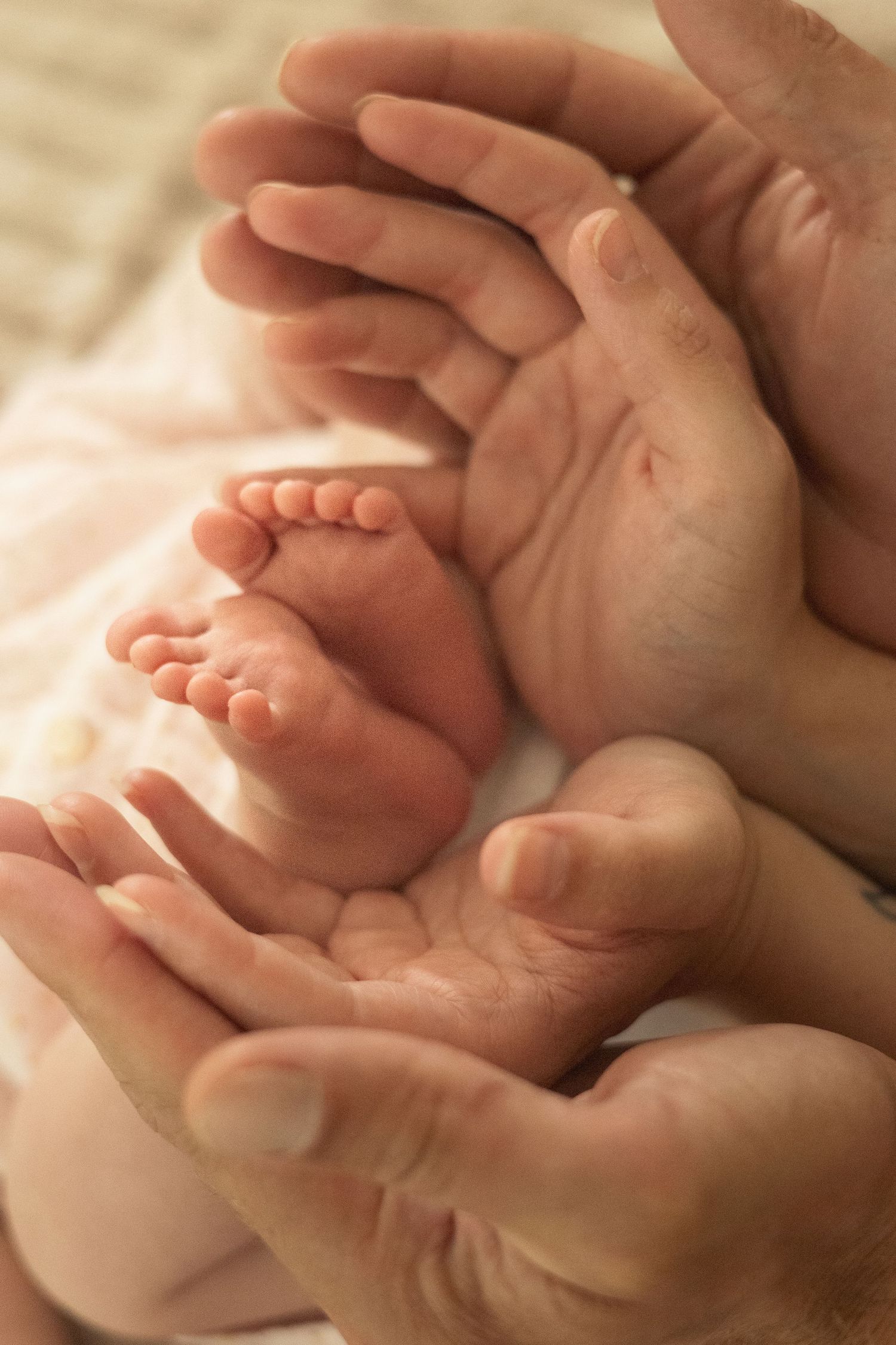 Adult hands gently cradling tiny newborn baby feet, symbolizing parental love and new life.