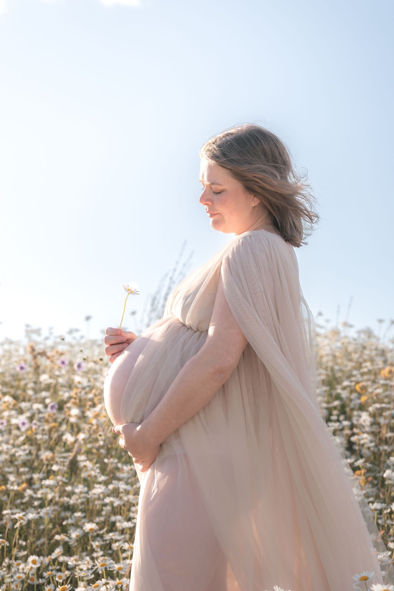 Pregnant woman in sheer beige dress holding flowers in a sunlit chamomile field, cradling her baby bump.