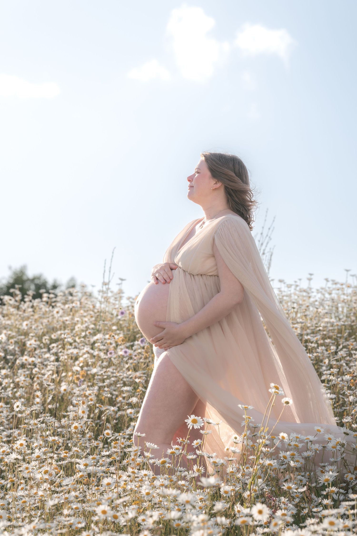 Pregnant woman in sheer blush dress standing in a sunlit chamomile flower field holding her bump.