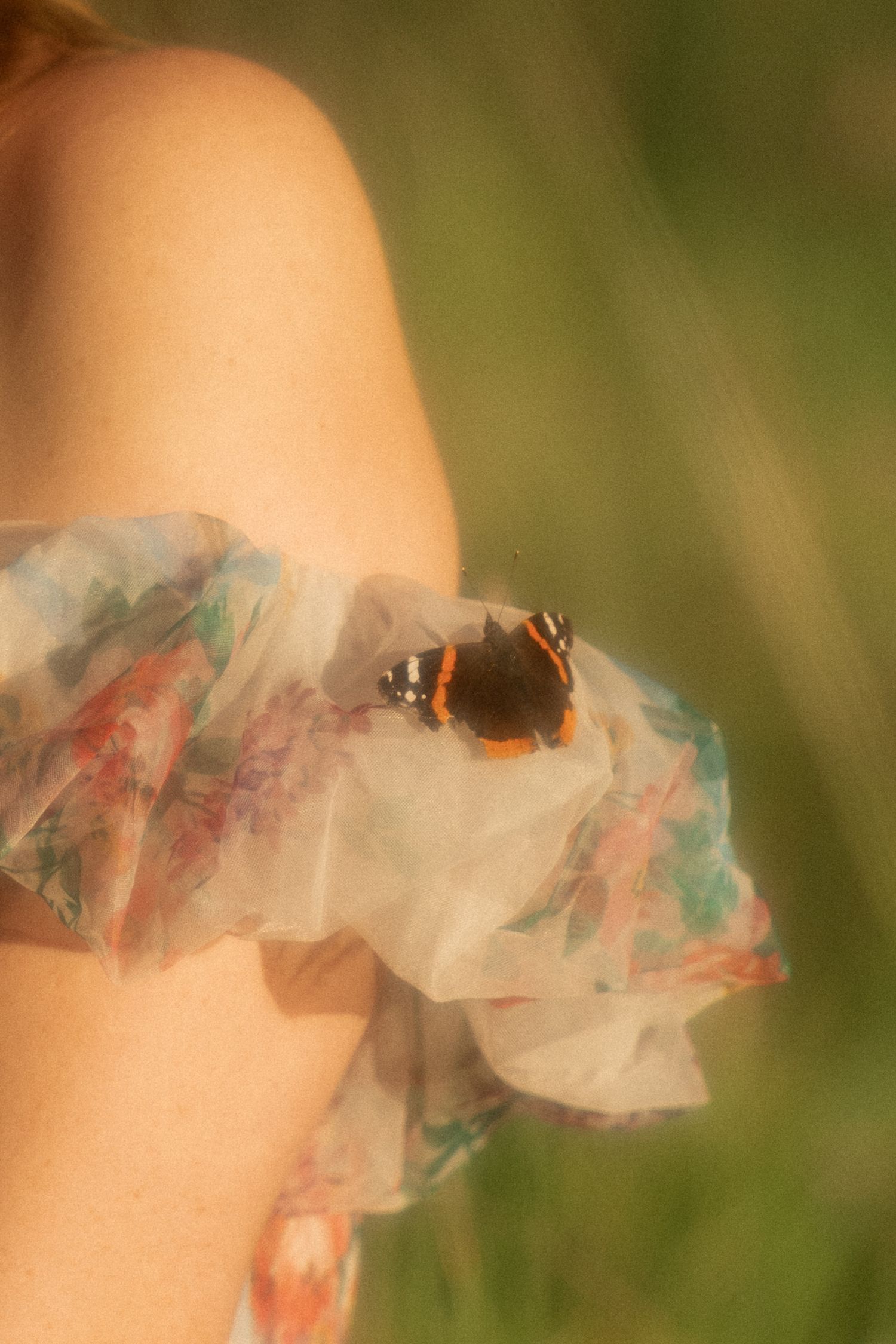A red admiral butterfly resting on a ruffled floral dress sleeve in a dreamy outdoor setting.