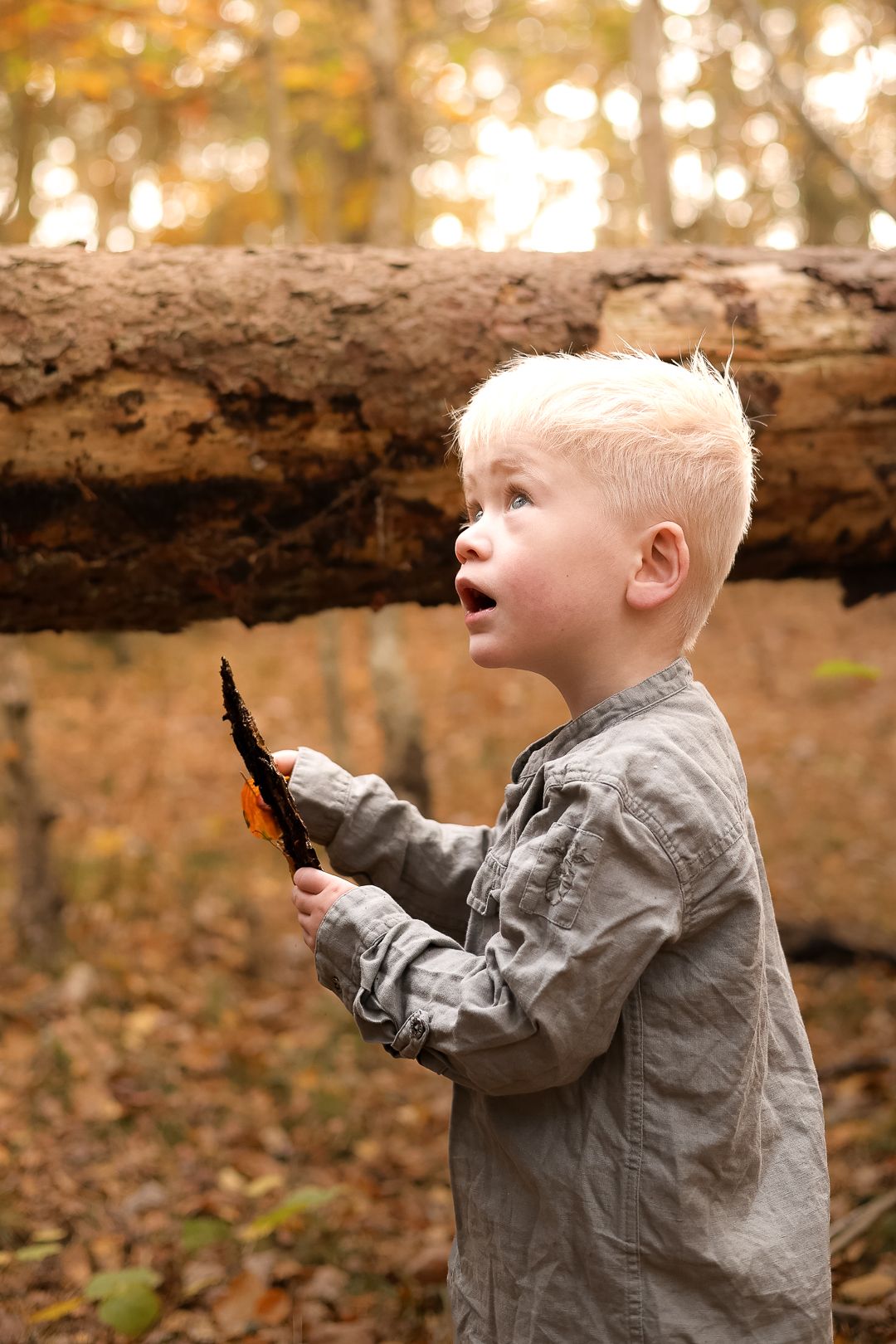 Surprised blonde toddler boy holding a stick in an autumn forest setting.