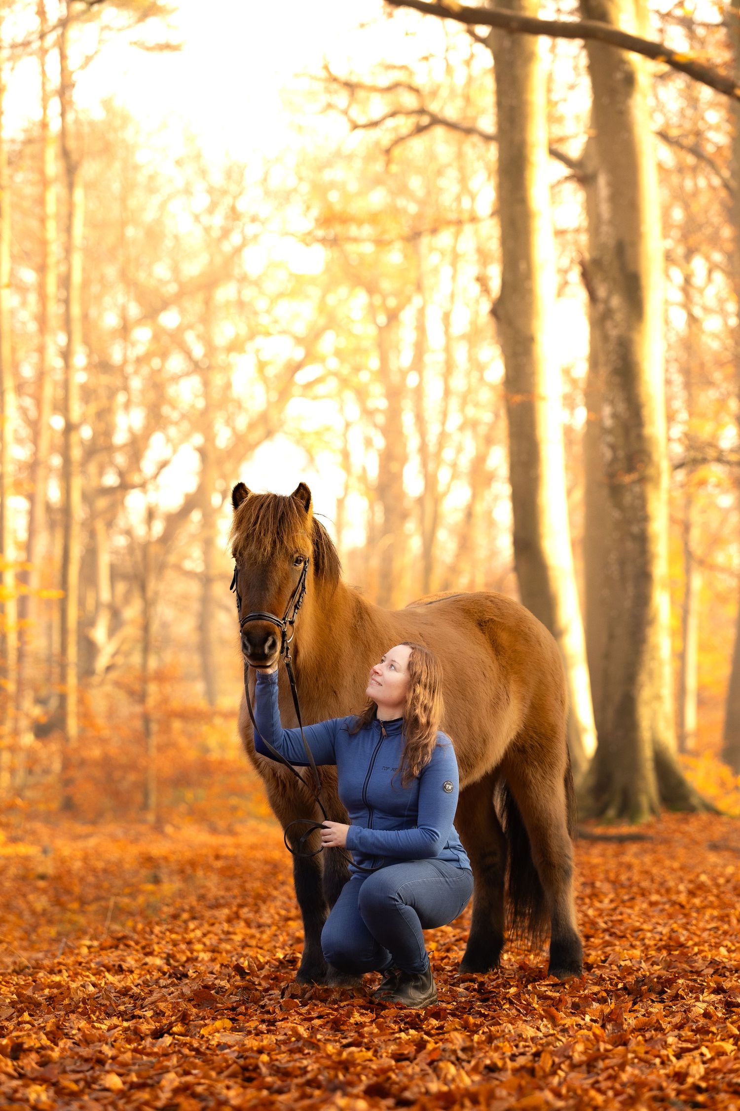 Woman kneeling beside brown pony in sunlit autumn forest with orange leaves.