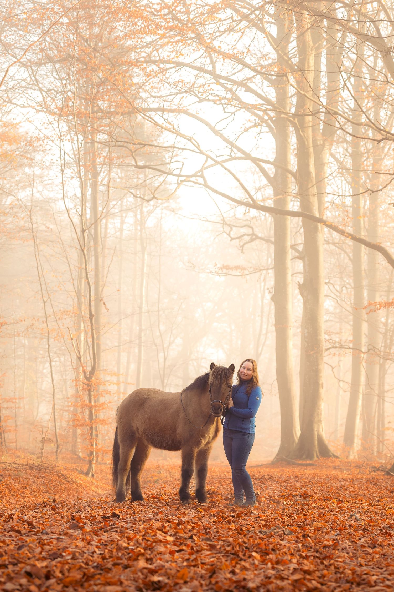 Woman in blue jacket standing beside brown pony in foggy autumn forest with fallen leaves.