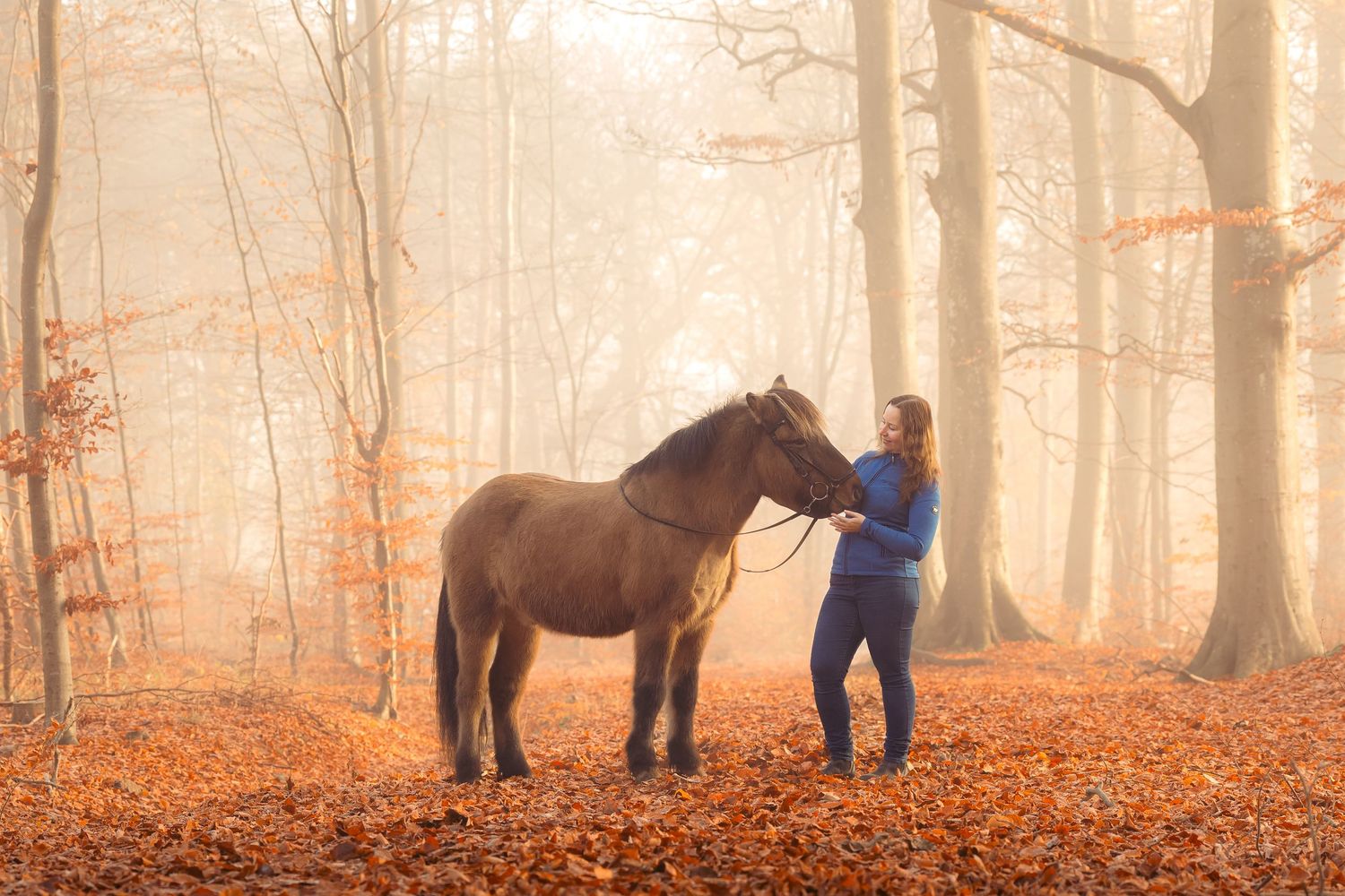 Woman standing with brown horse in misty autumn forest surrounded by fallen leaves.
