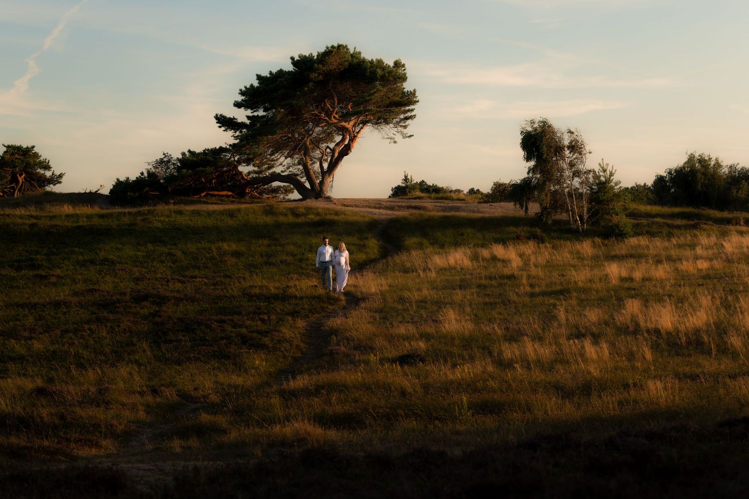 Two people walking along a path through golden meadow fields at sunset, with a large windswept tree in background.
