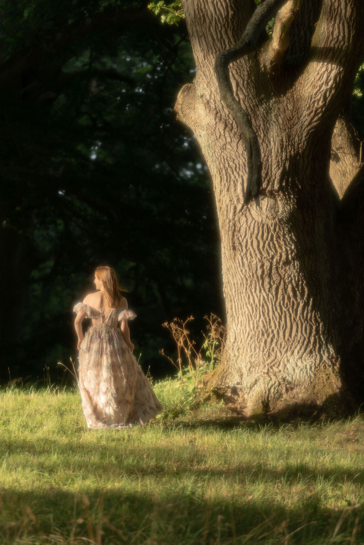 Woman in vintage ball gown standing beside a massive oak tree in a sunlit green meadow surrounded by forest.