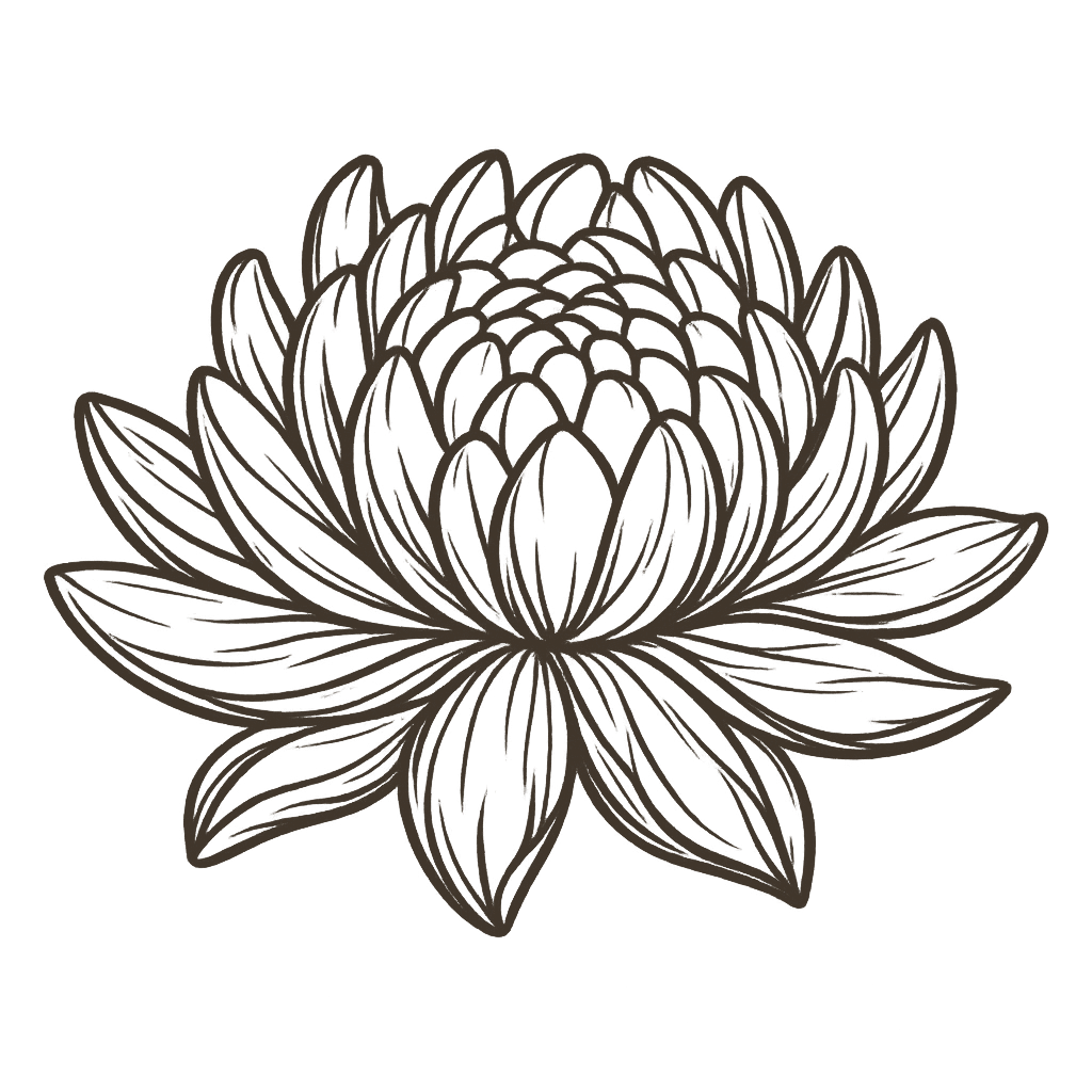 Bold black ink hand-drawn chrysanthemum flower illustration with detailed petals on white background.