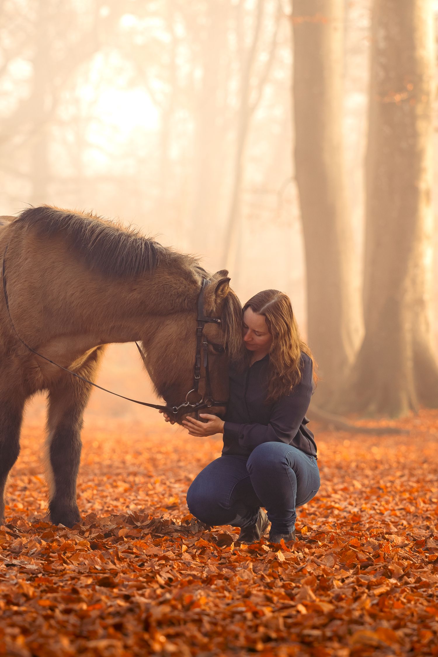 Woman crouching to bond with brown pony in misty autumn forest with orange leaves.