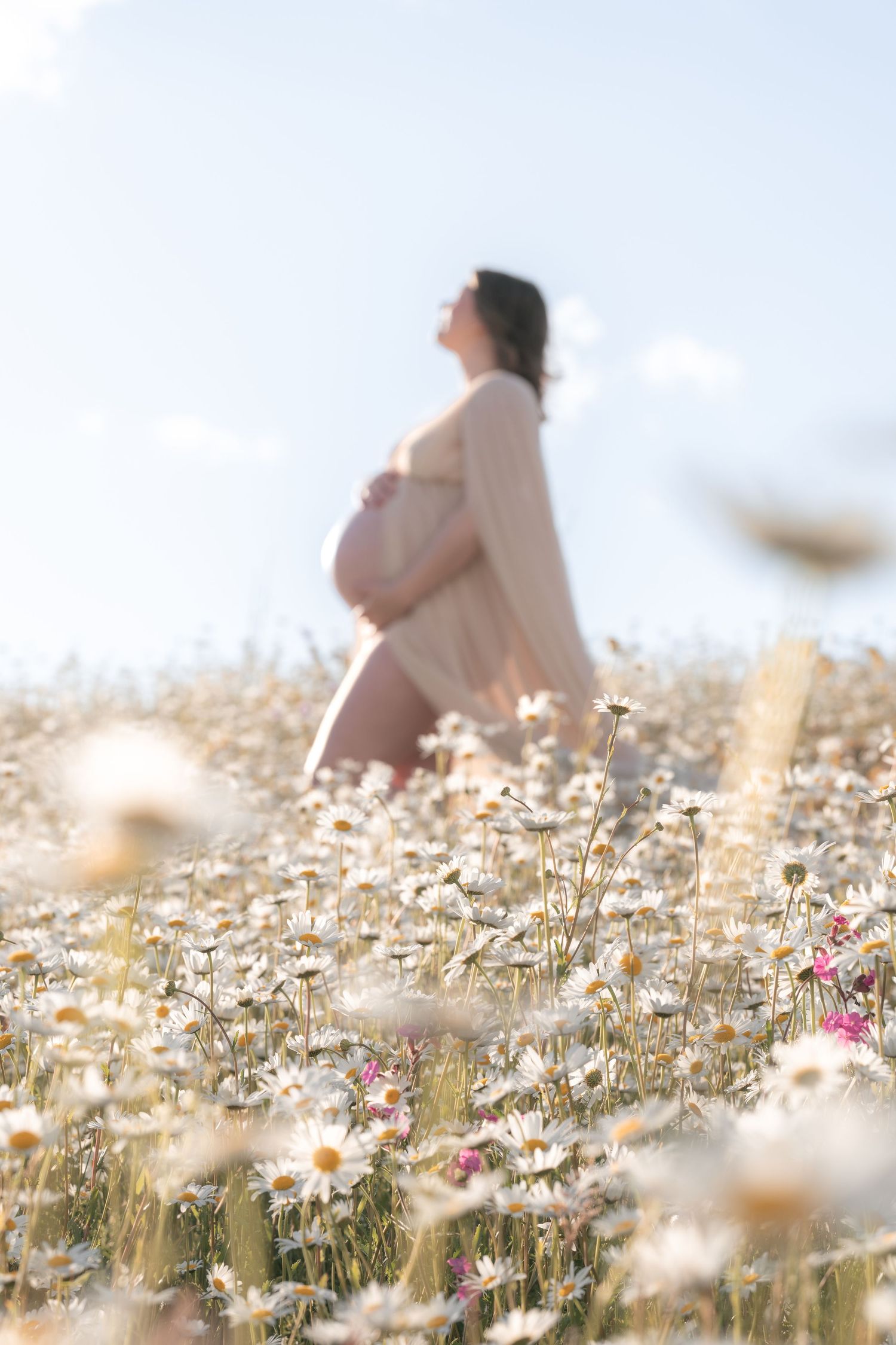 Pregnant woman in a flowing dress standing in a sunlit daisy field, cradling her baby bump against a blue sky.